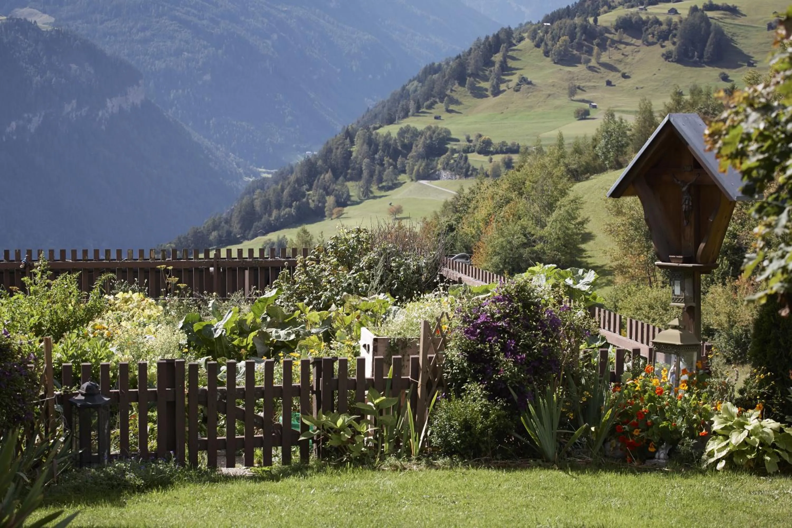 Natural landscape in Talackerhof