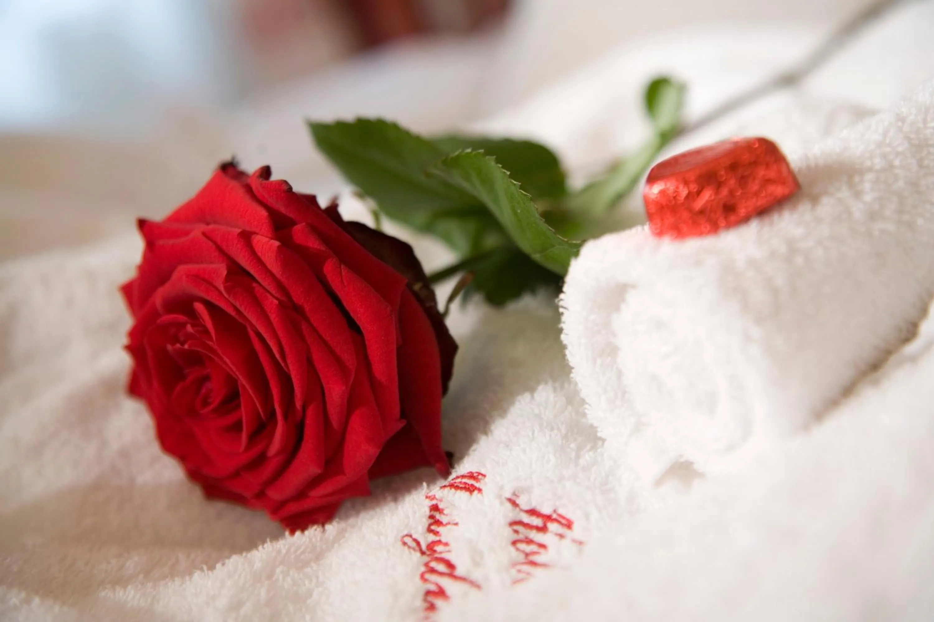 Decorative detail in Hotel Magdalena Mayrhofen