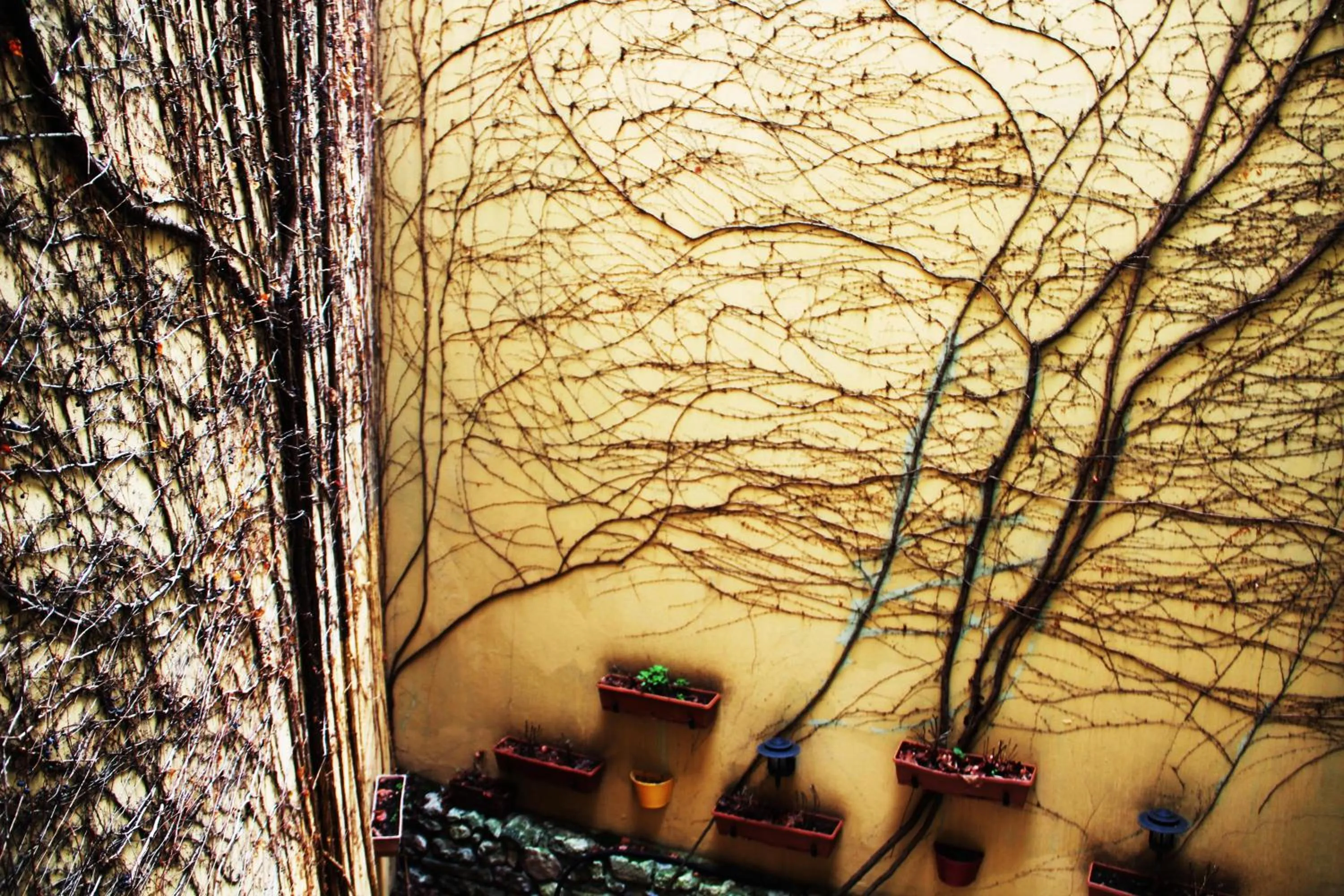 Winter in Hotel Erguvan - Special Category