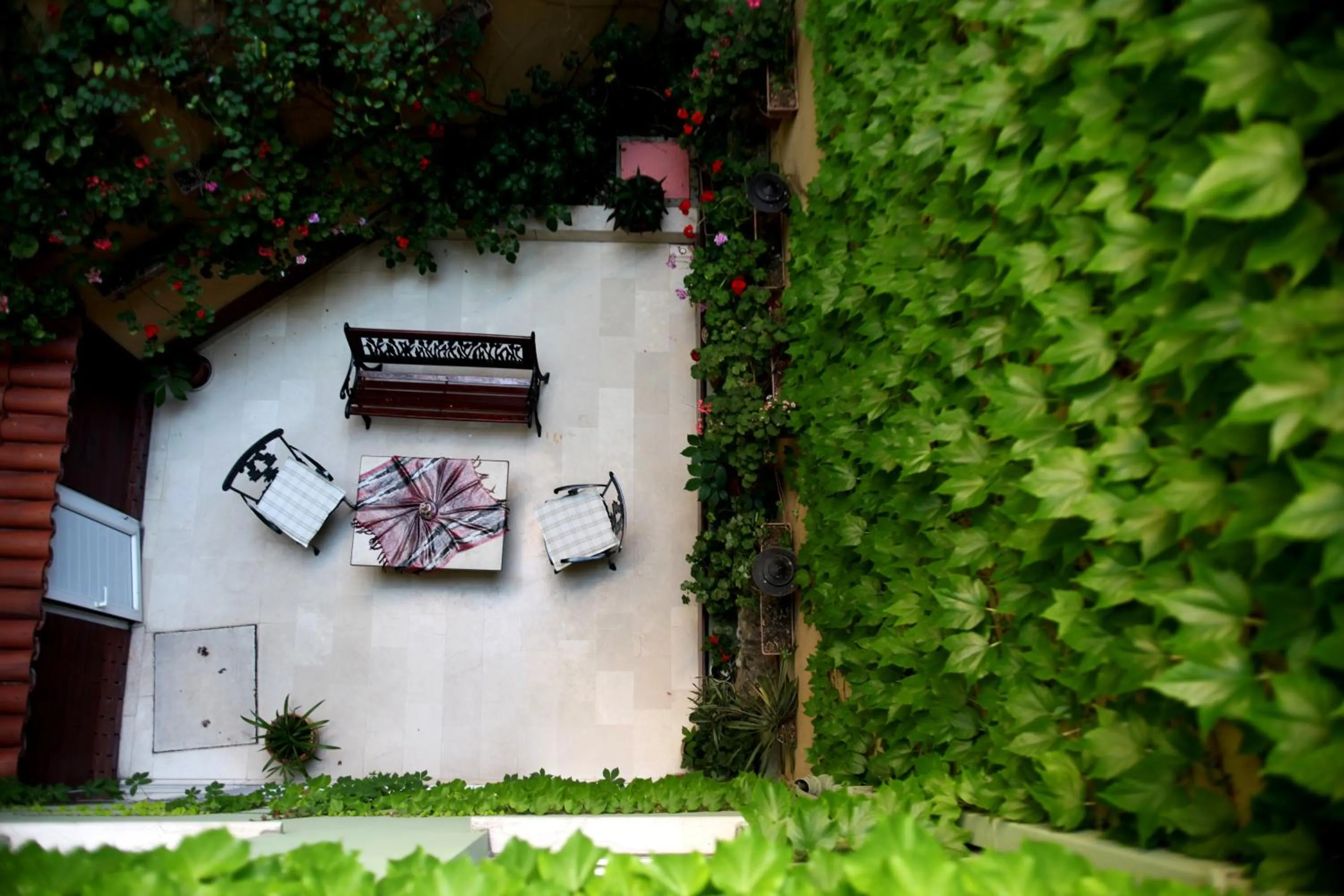 Day in Hotel Erguvan - Special Category