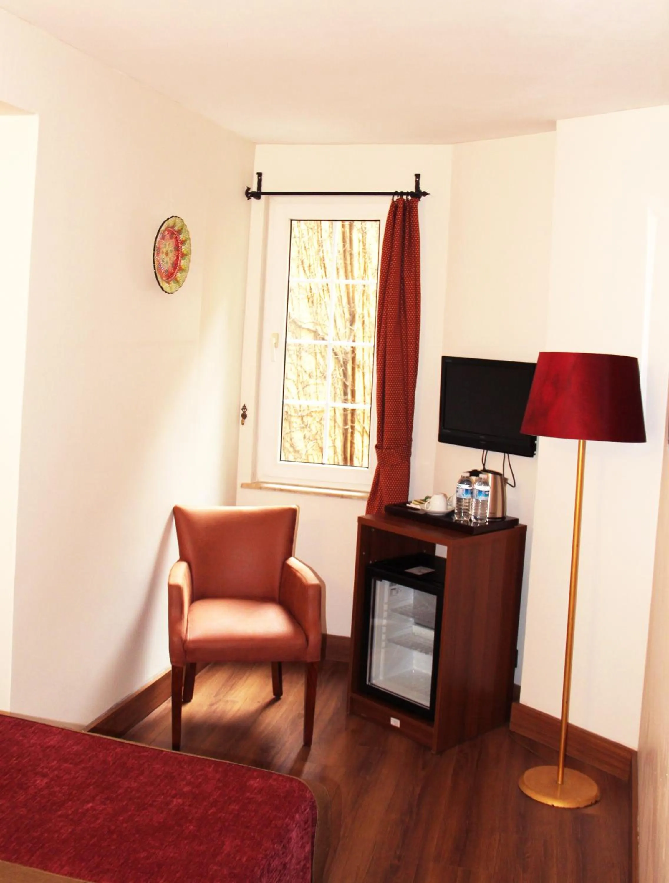 TV and multimedia in Hotel Erguvan - Special Category