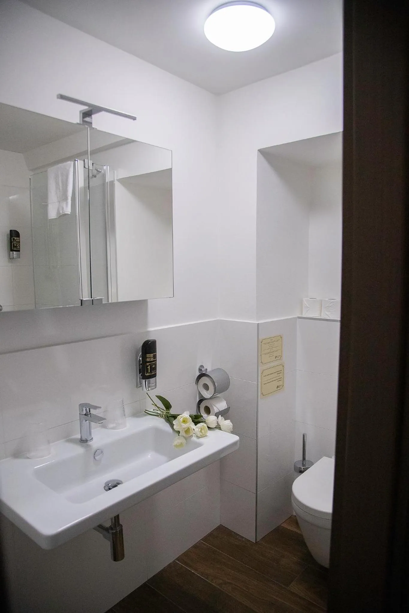 Bathroom in Old Prague House