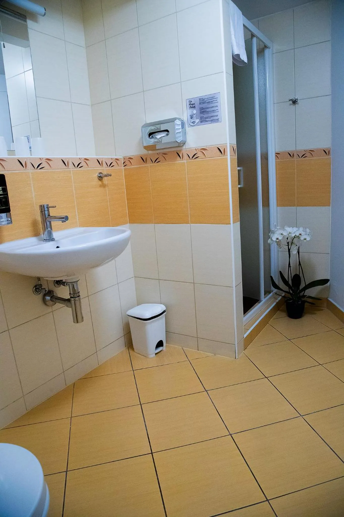 Shower in Old Prague House