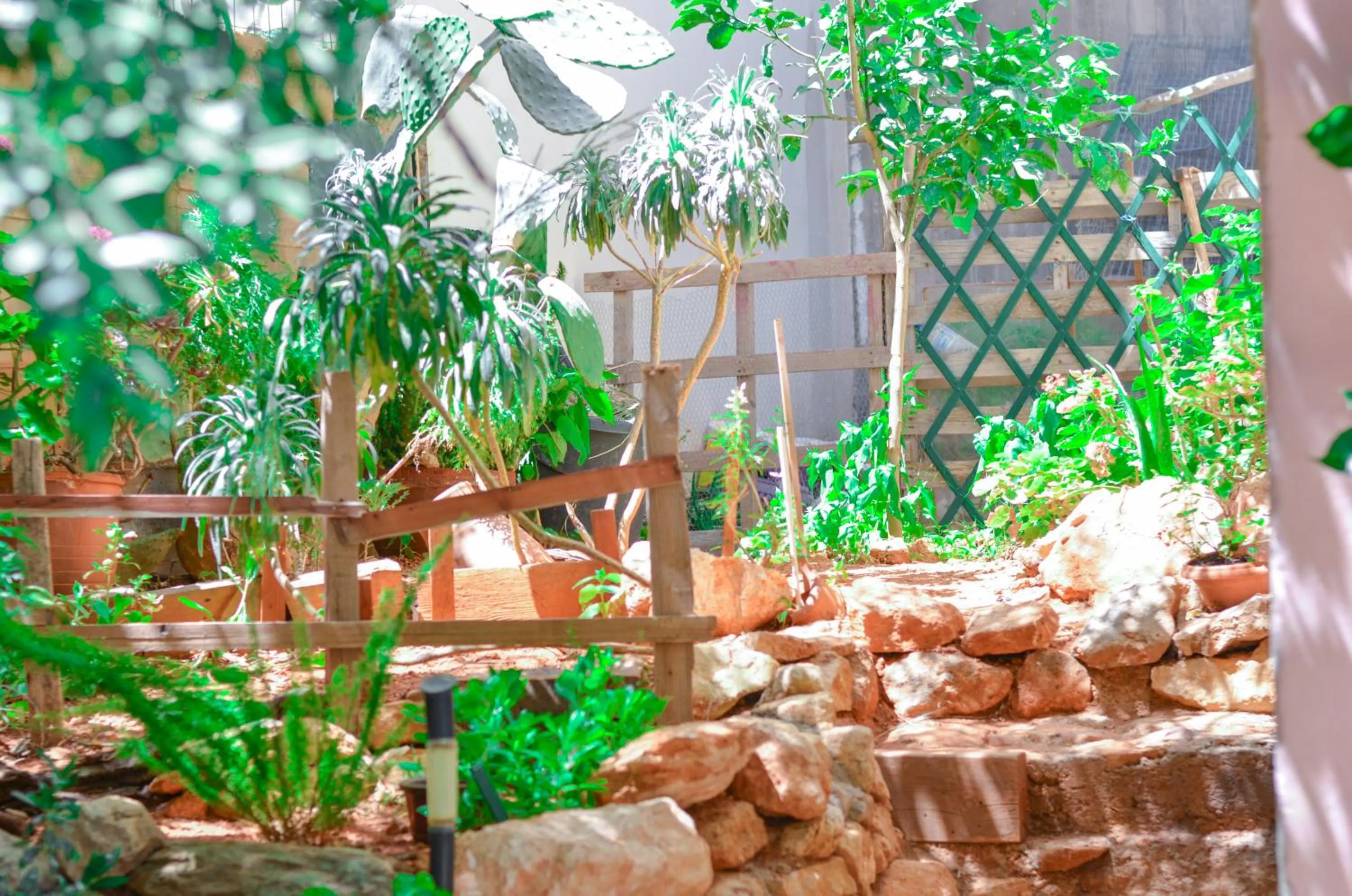 Patio in Home Suites