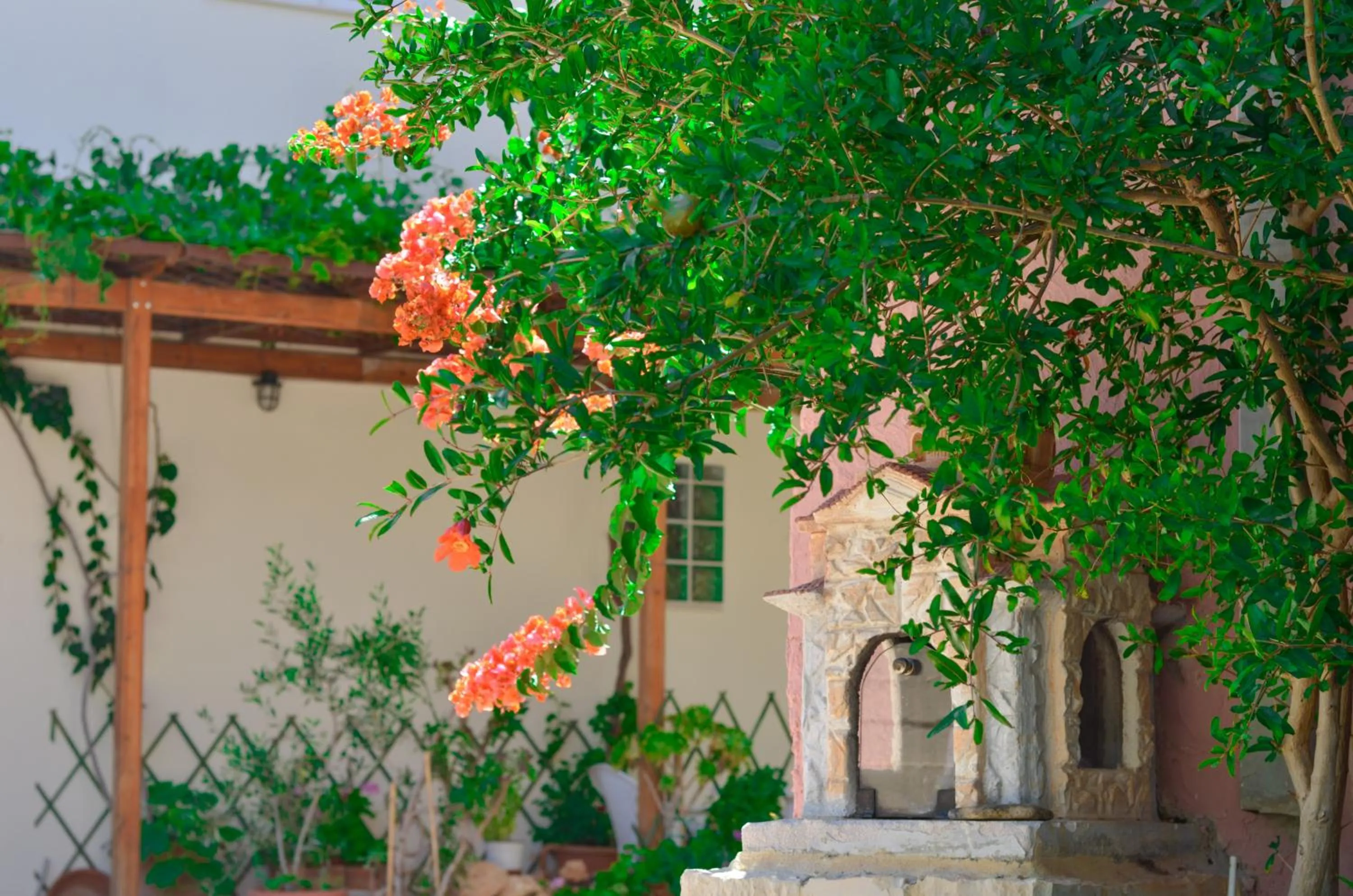 Garden in Home Suites