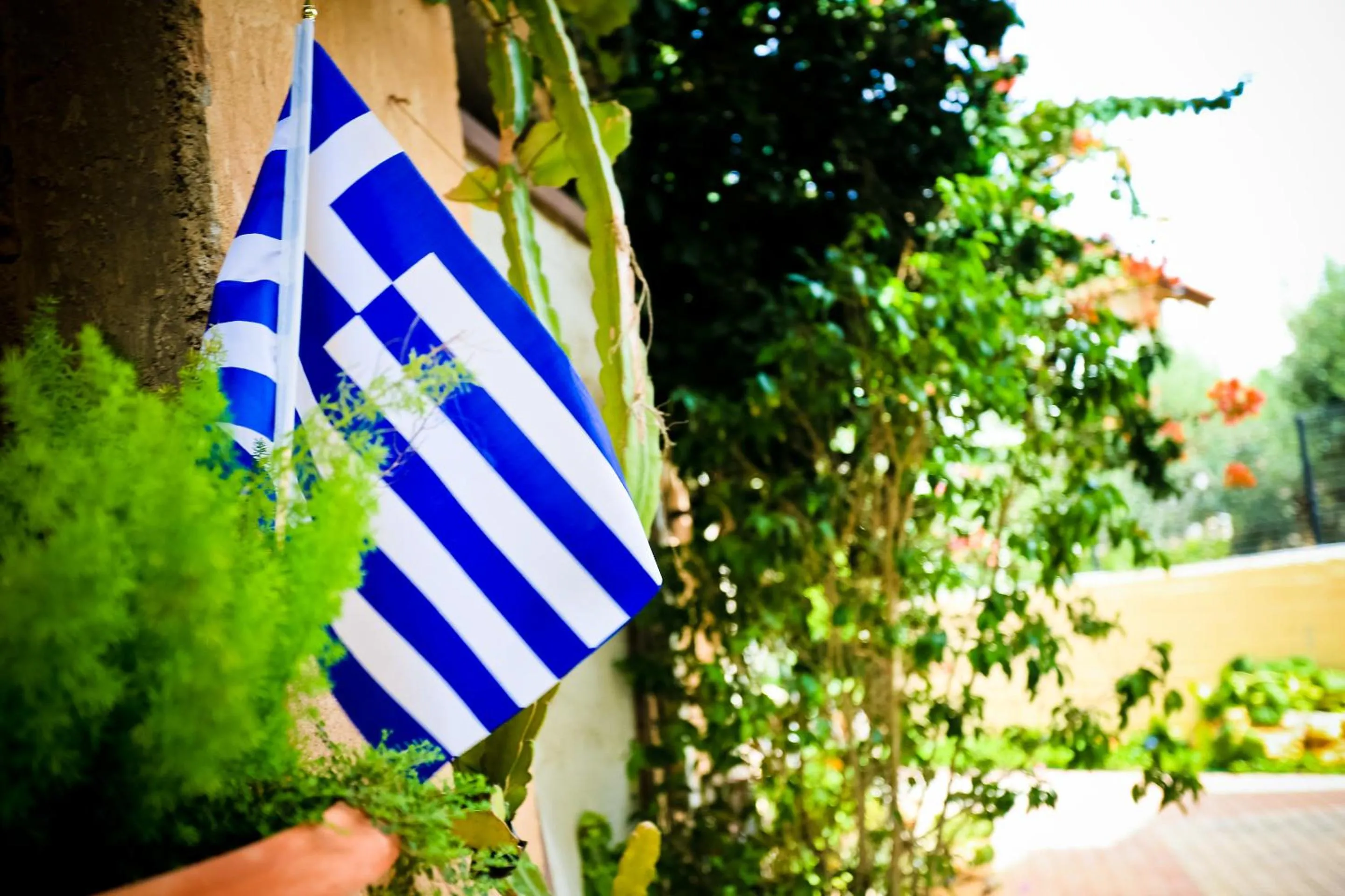 Other in Home Suites