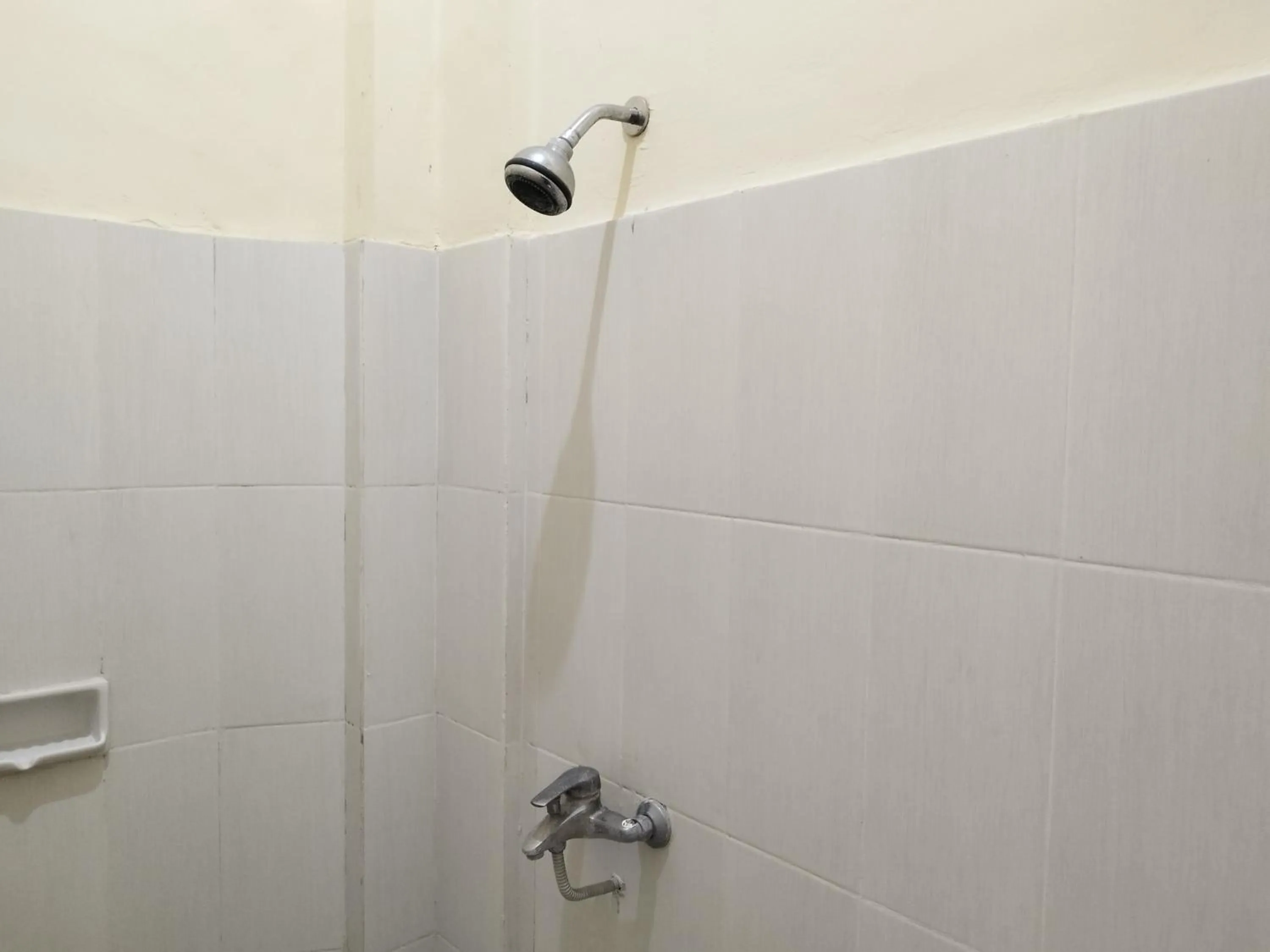 Adi Pelita Sari Bali