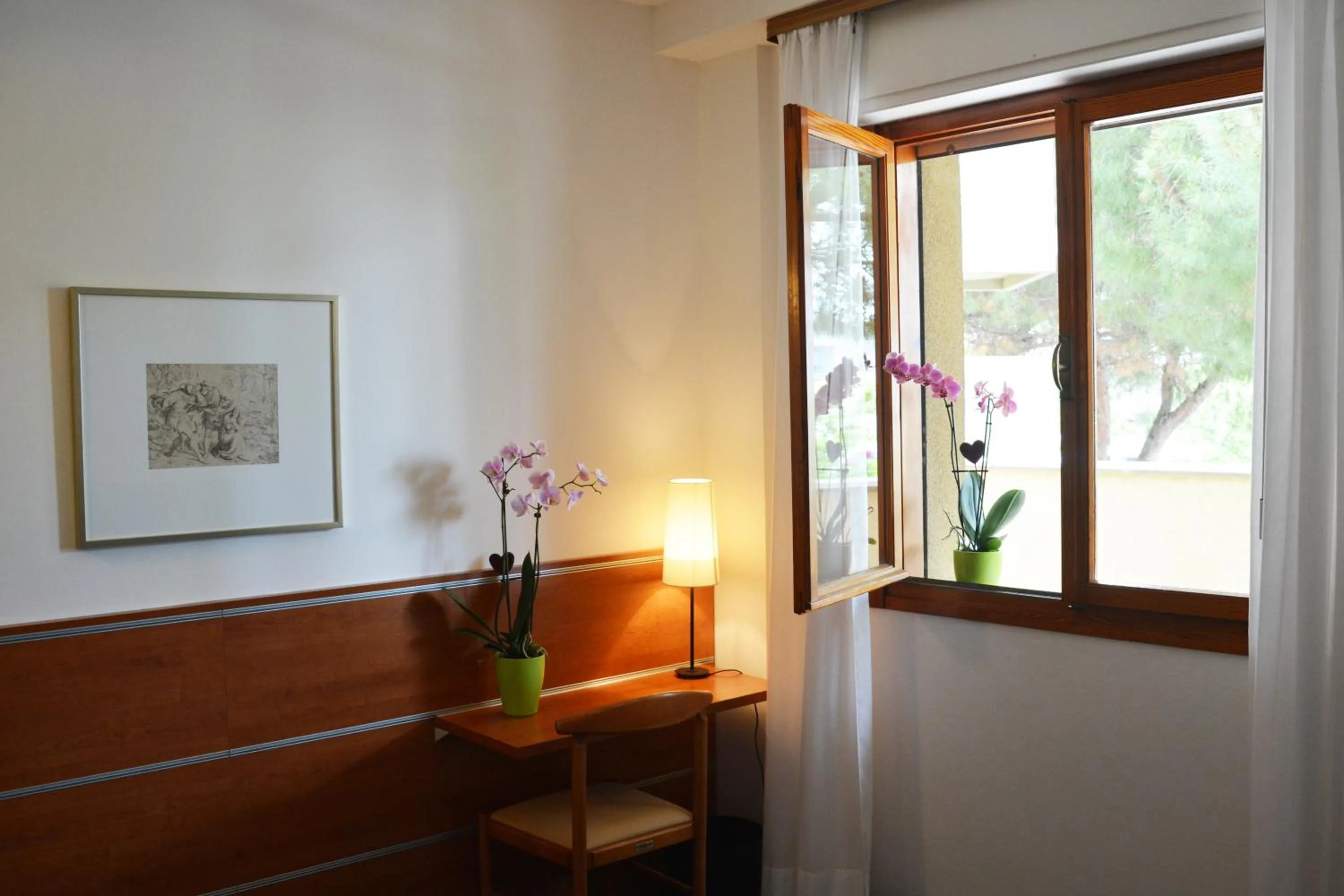 Day in Hotel Argentina