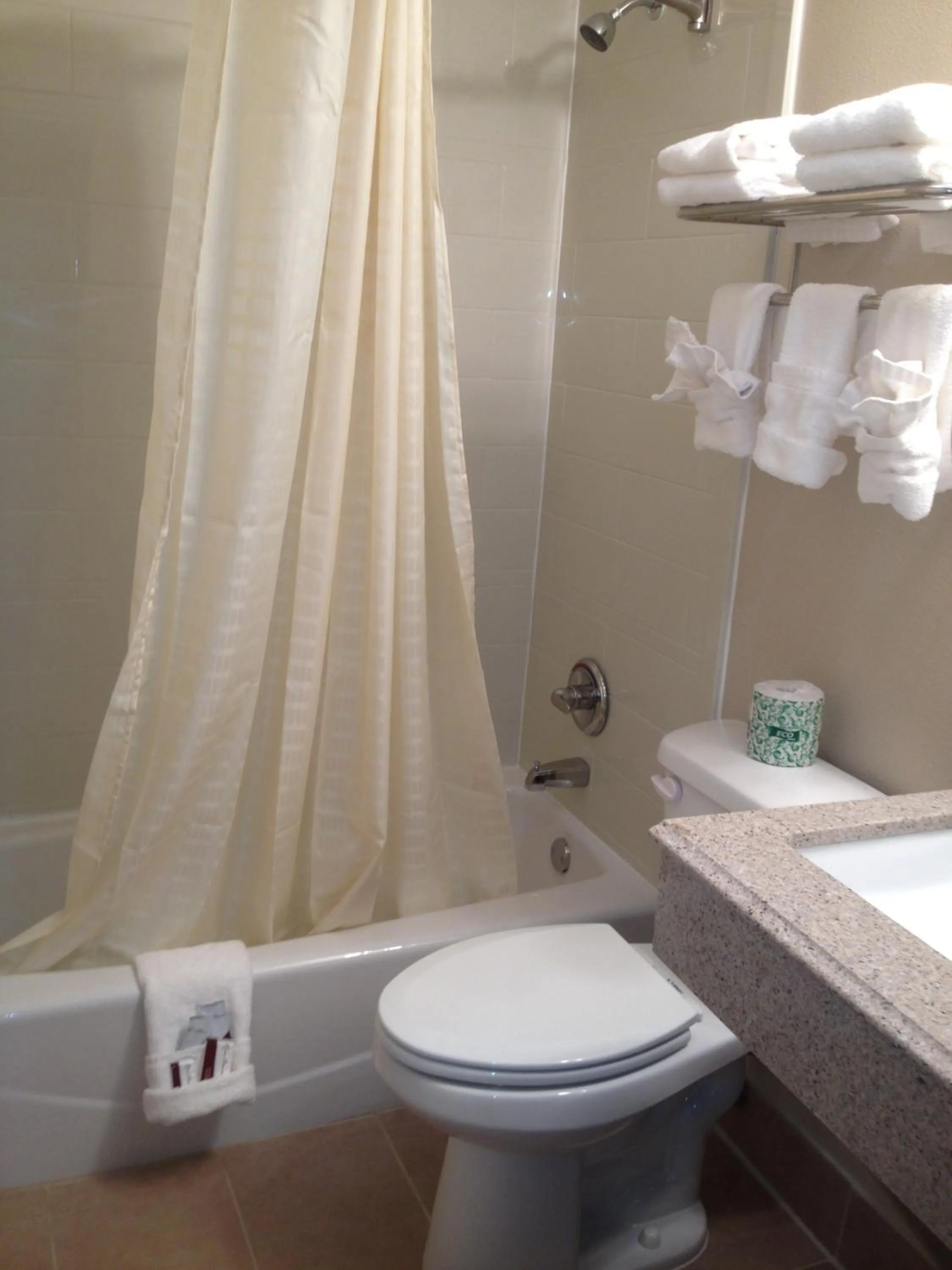 Toilet in Executive Inn Snyder