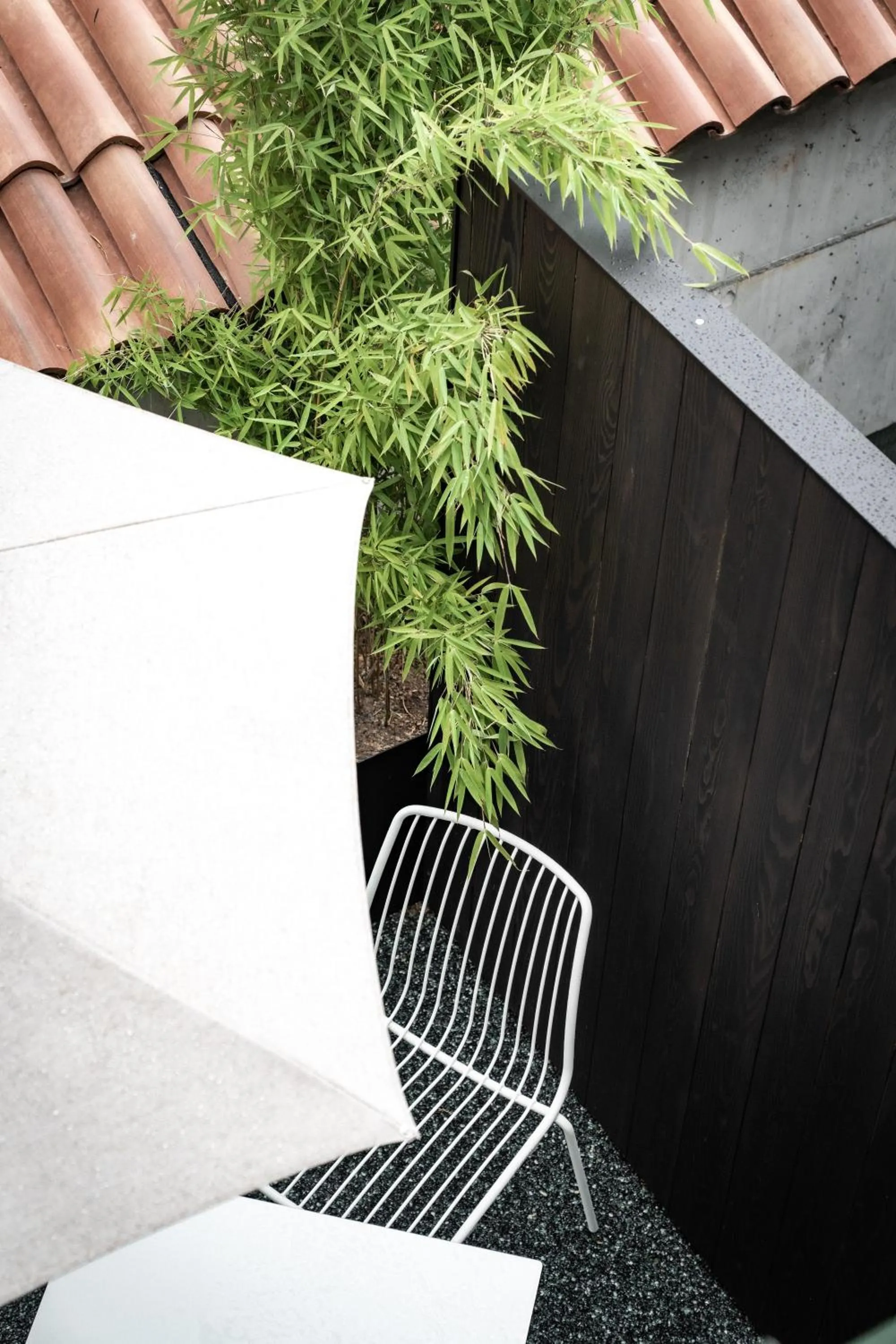 Garden in ADLER Historic Guesthouse