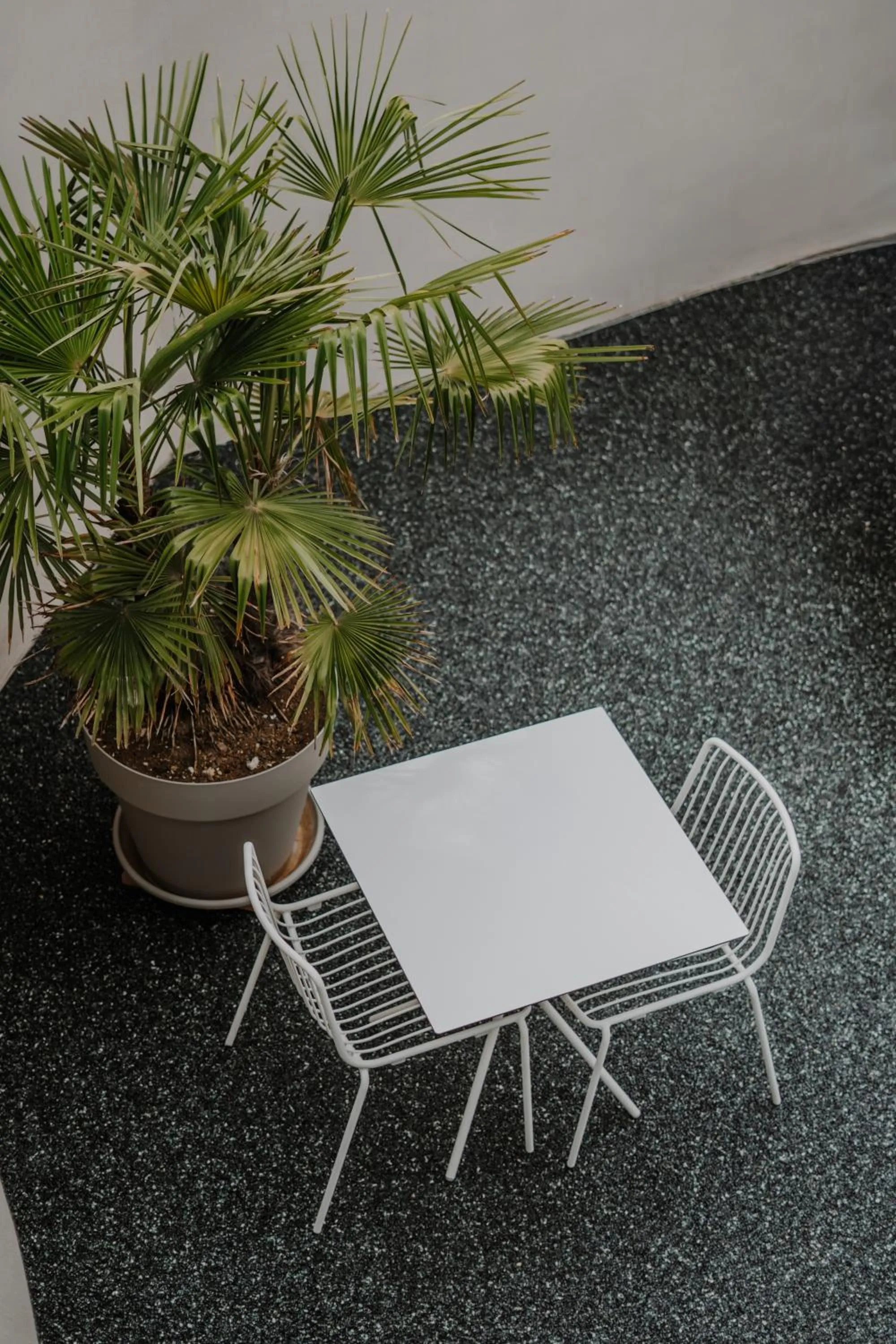 Balcony/Terrace in ADLER Historic Guesthouse