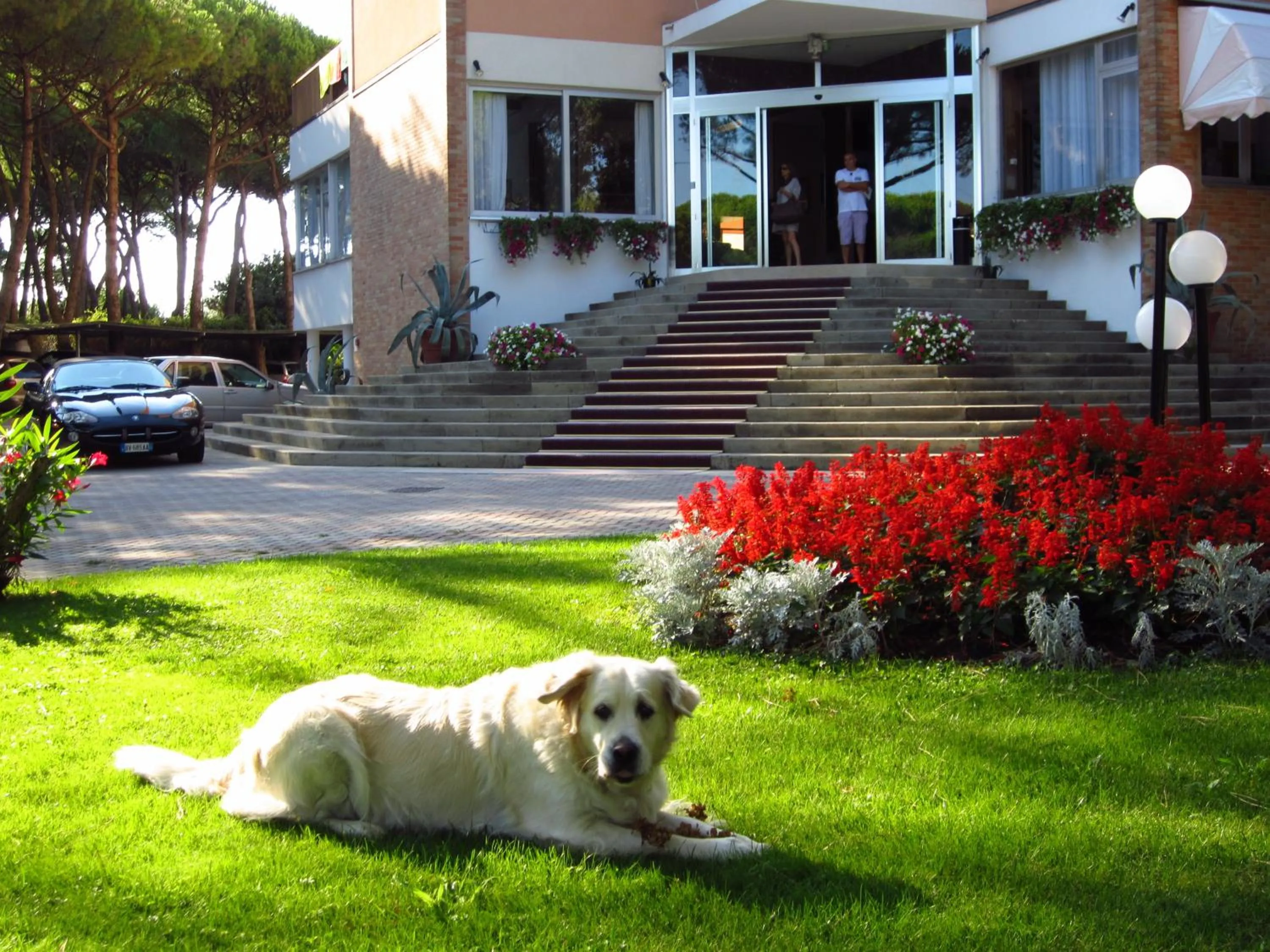 Facade/entrance in Hotel Beau Rivage Pineta