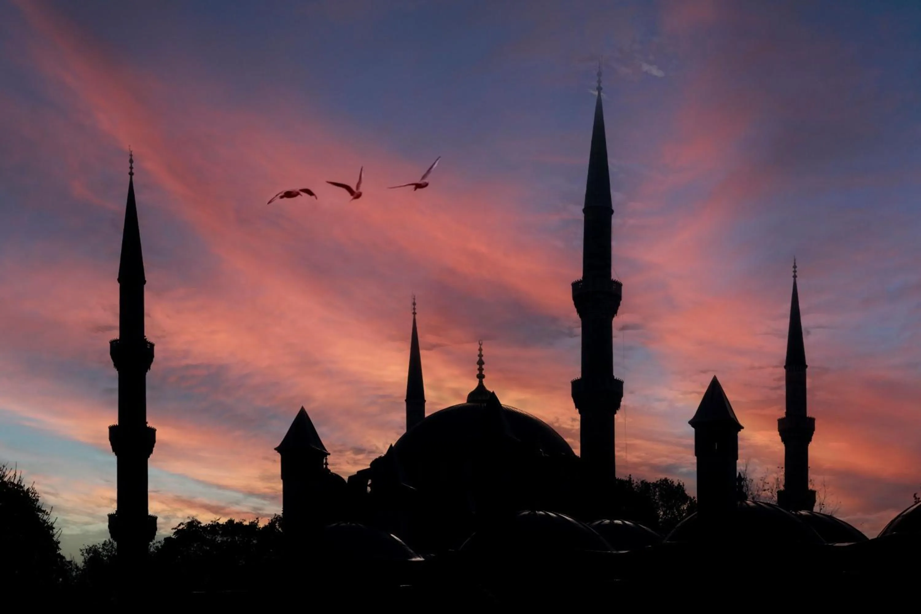 Other in Pera Tulip Hotel & Spa