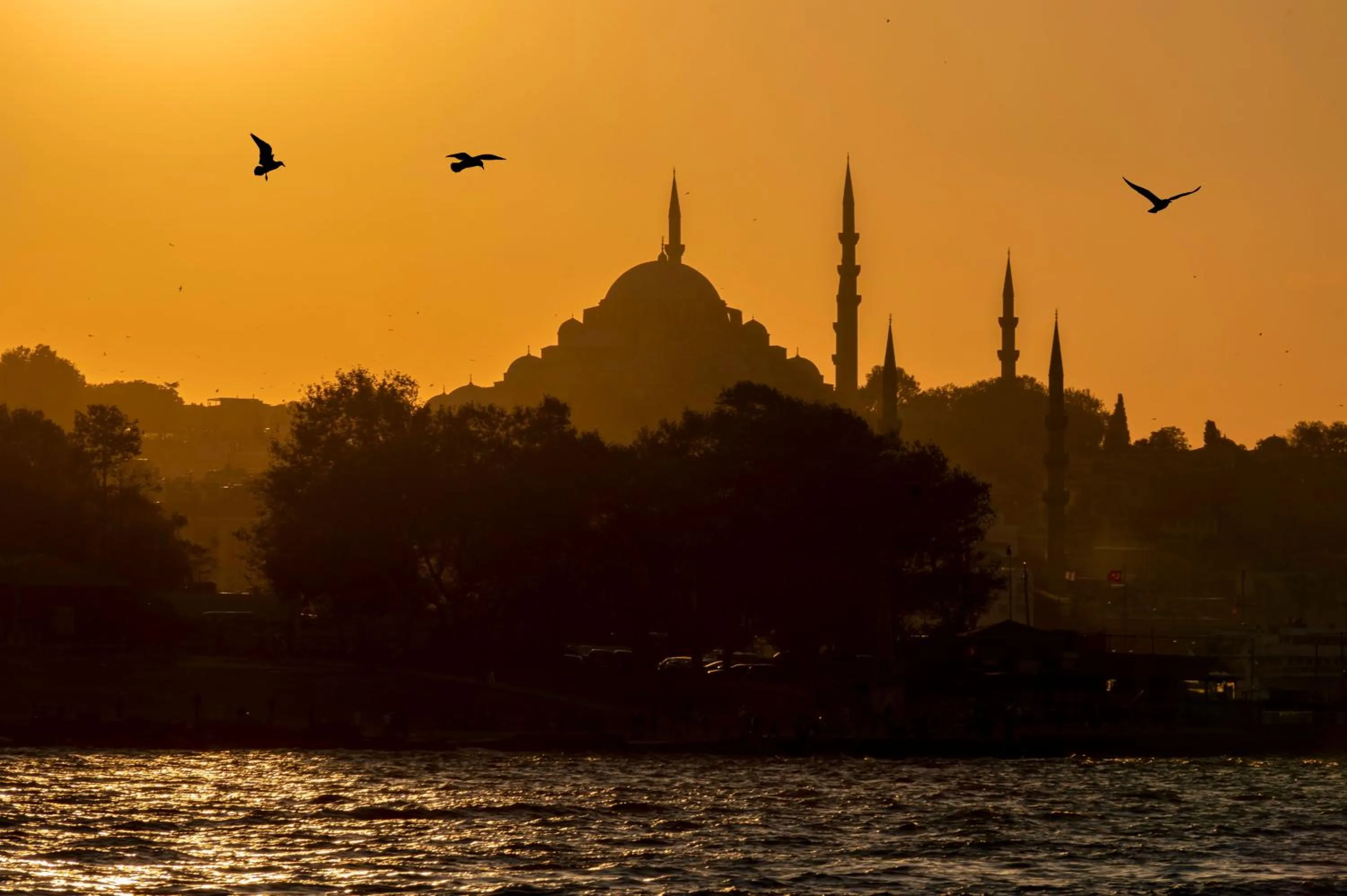 Other in Pera Tulip Hotel & Spa