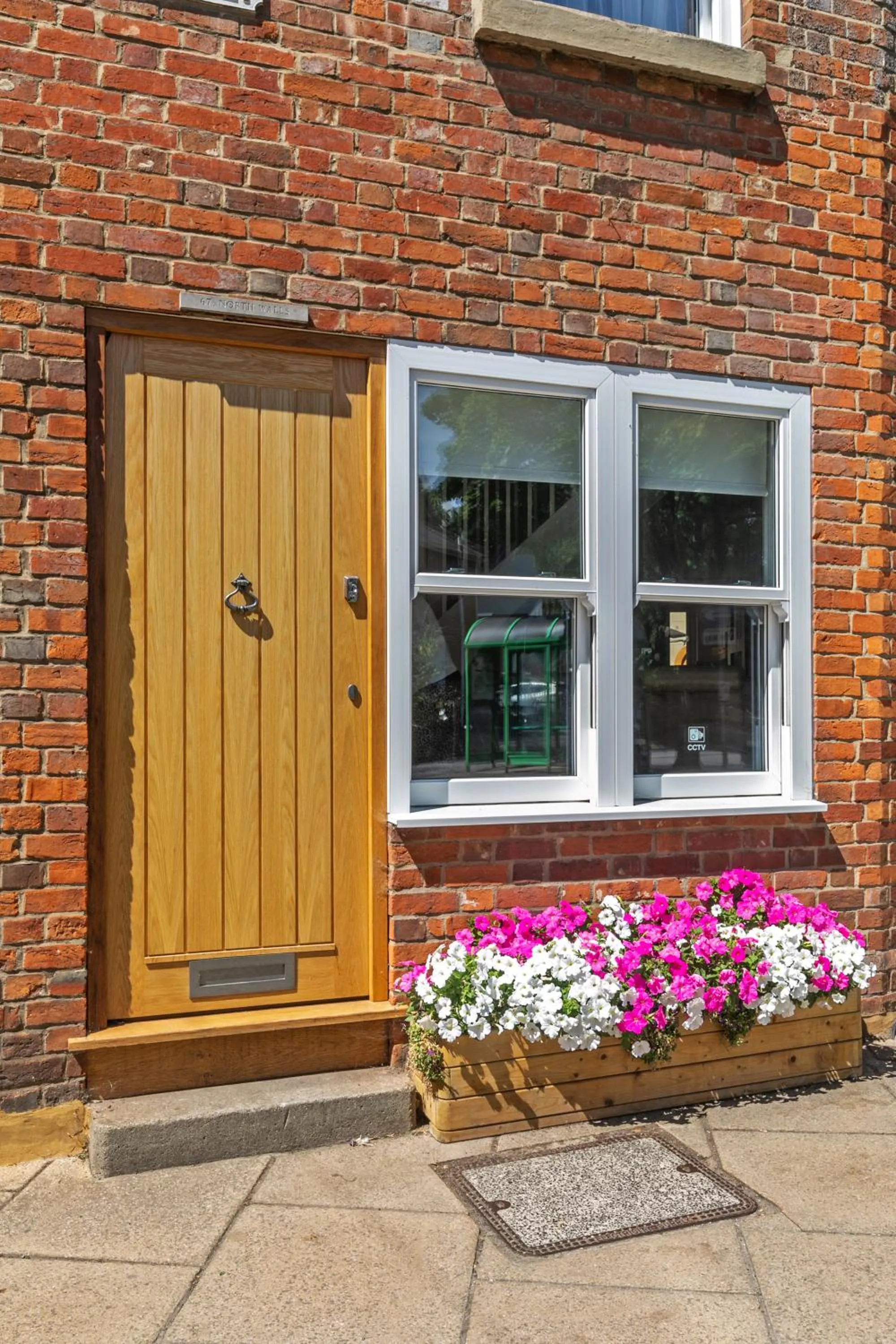 Garden in The Nestle House