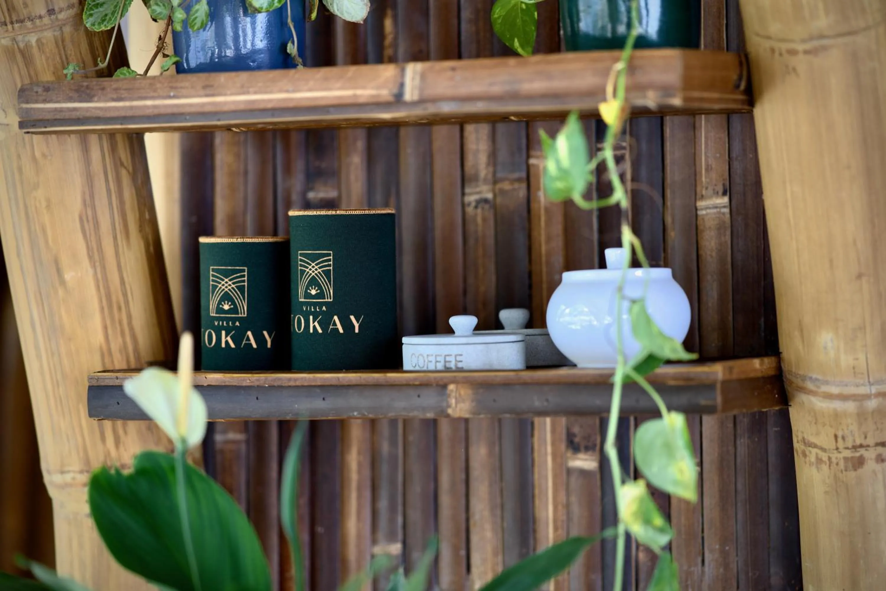 Villa with Private Pool in Villa Tokay - The Luxury Resort