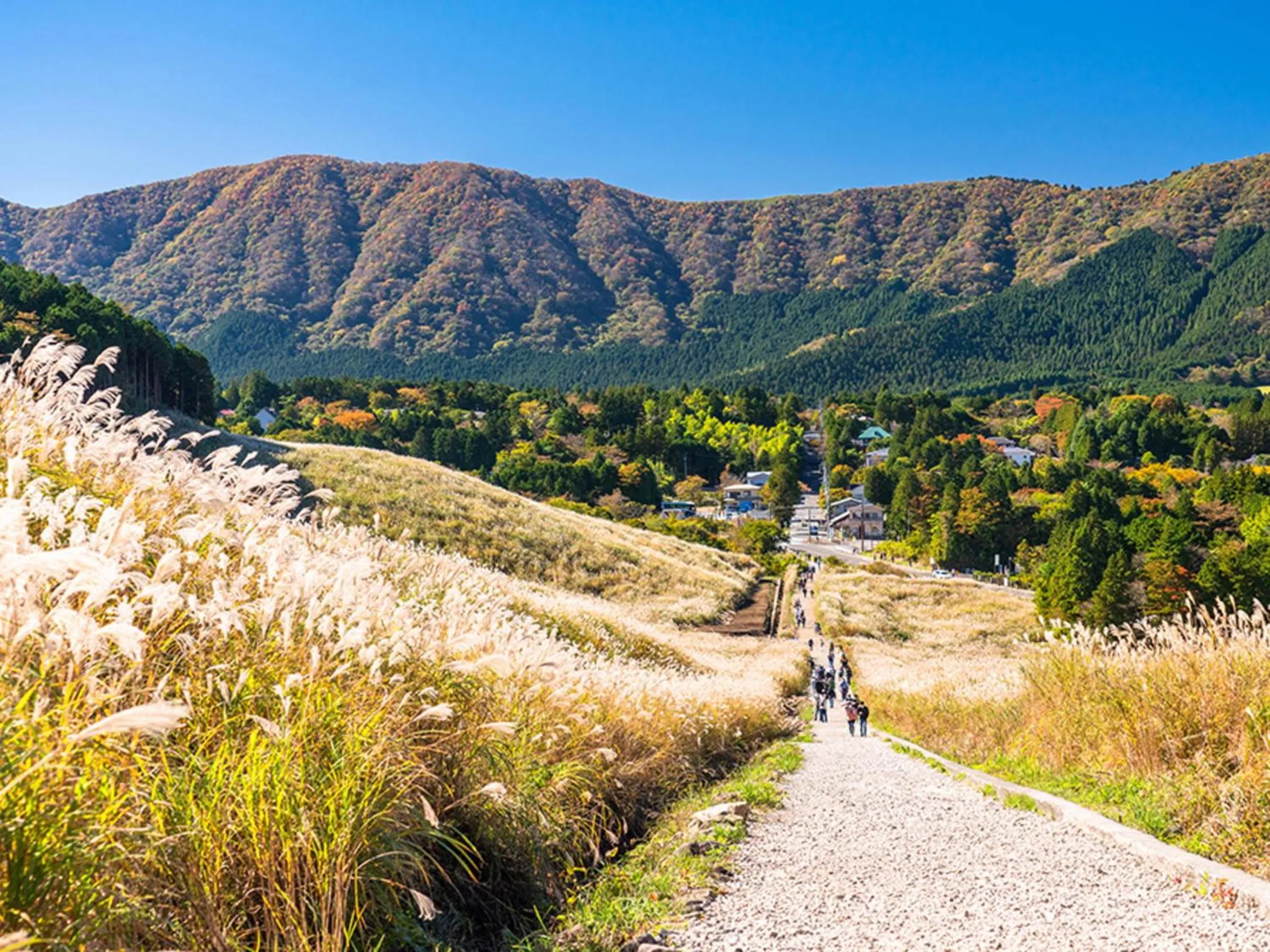 Nearby landmark in Hotel Shikinoyakata Hakone Ashinoko