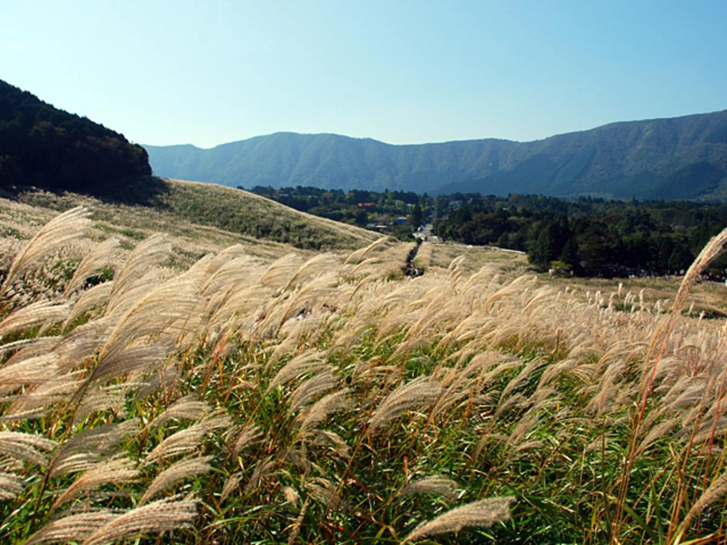 Nearby landmark in Hotel Morinokaze Hakone Sengokuhara