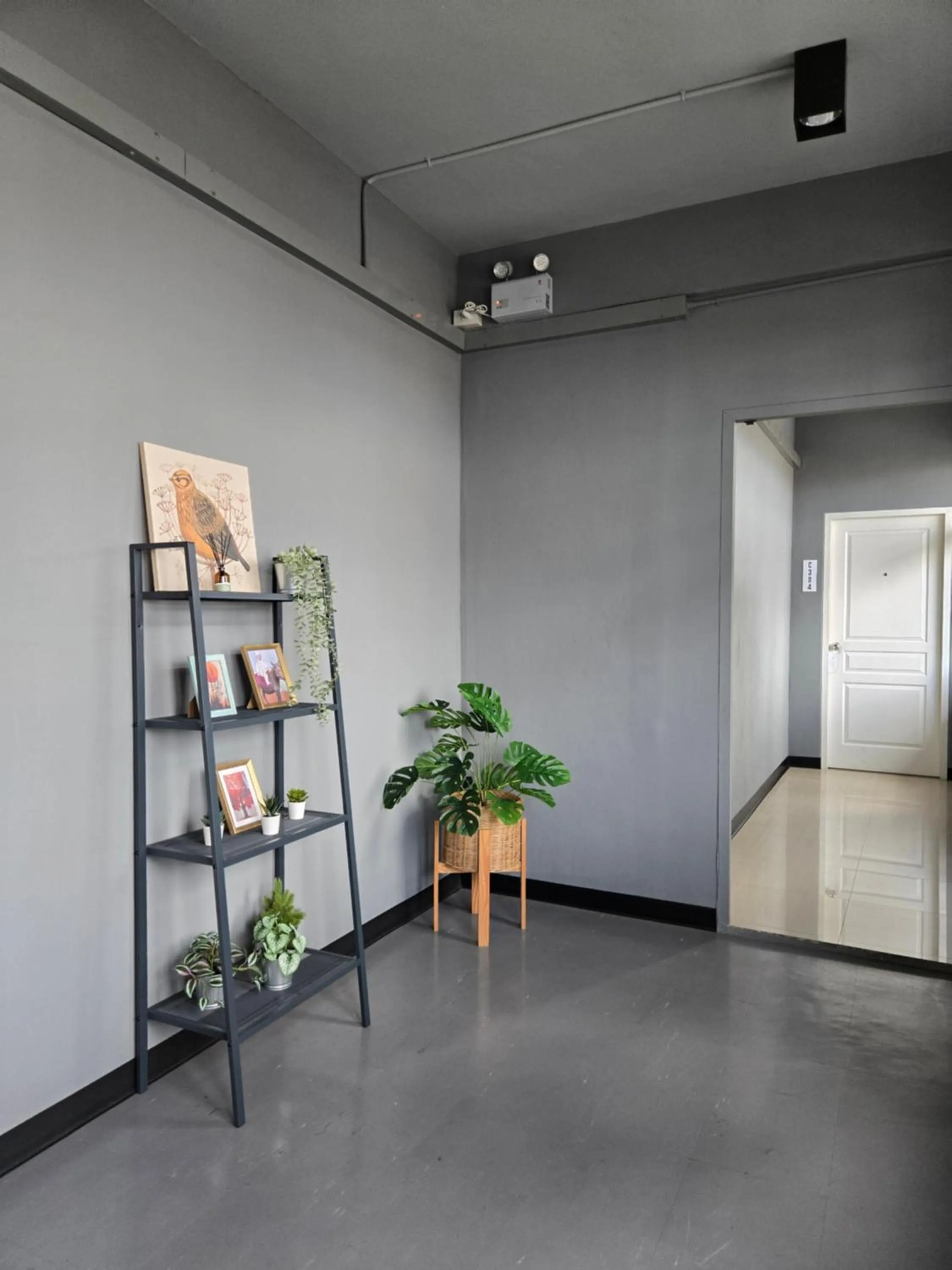 Property building in HOUSEMODE - BAANYAI @ Wongwian Yai