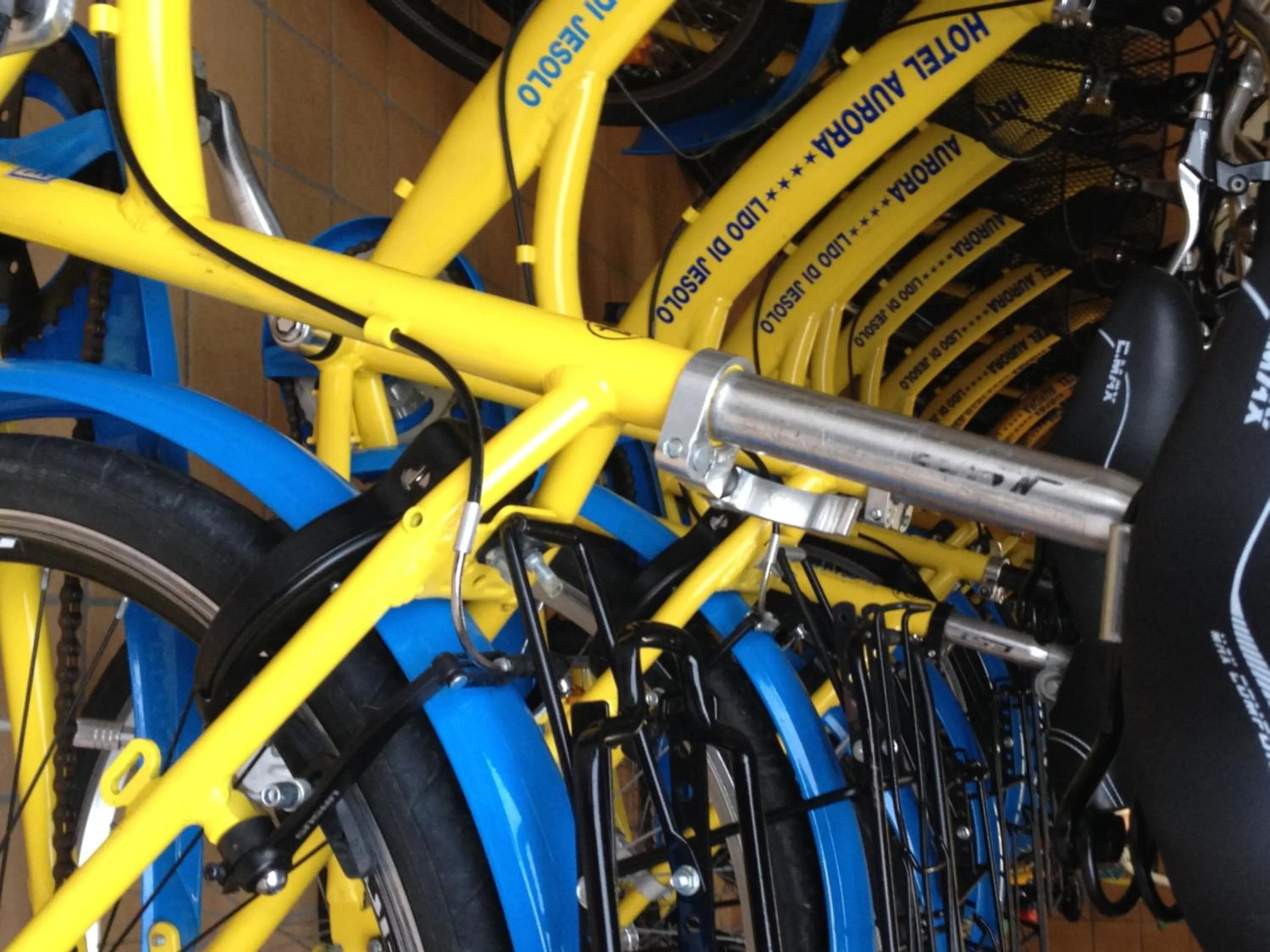 Cycling in Hotel Aurora