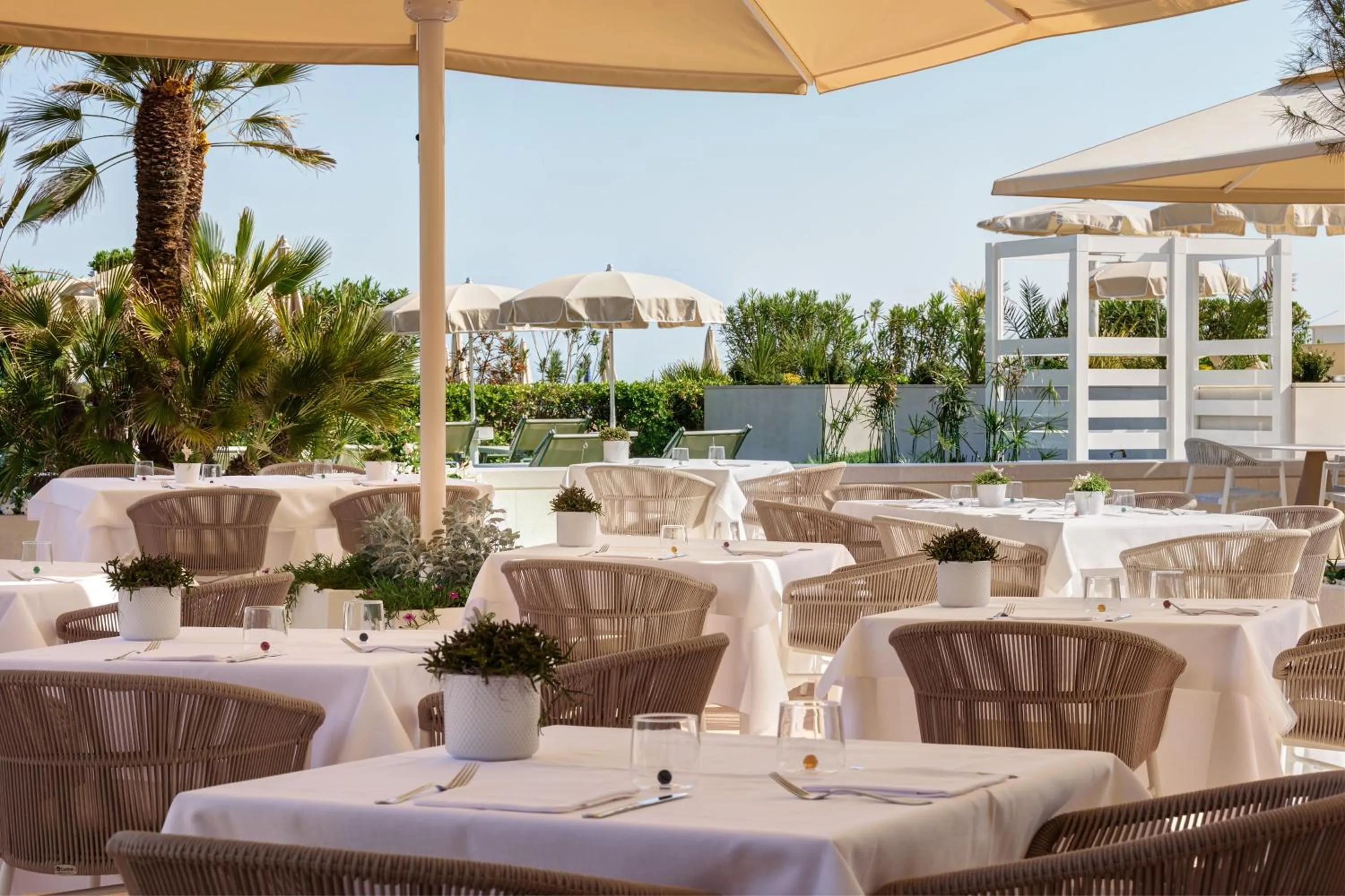 Restaurant/places to eat in Hotel Aurora