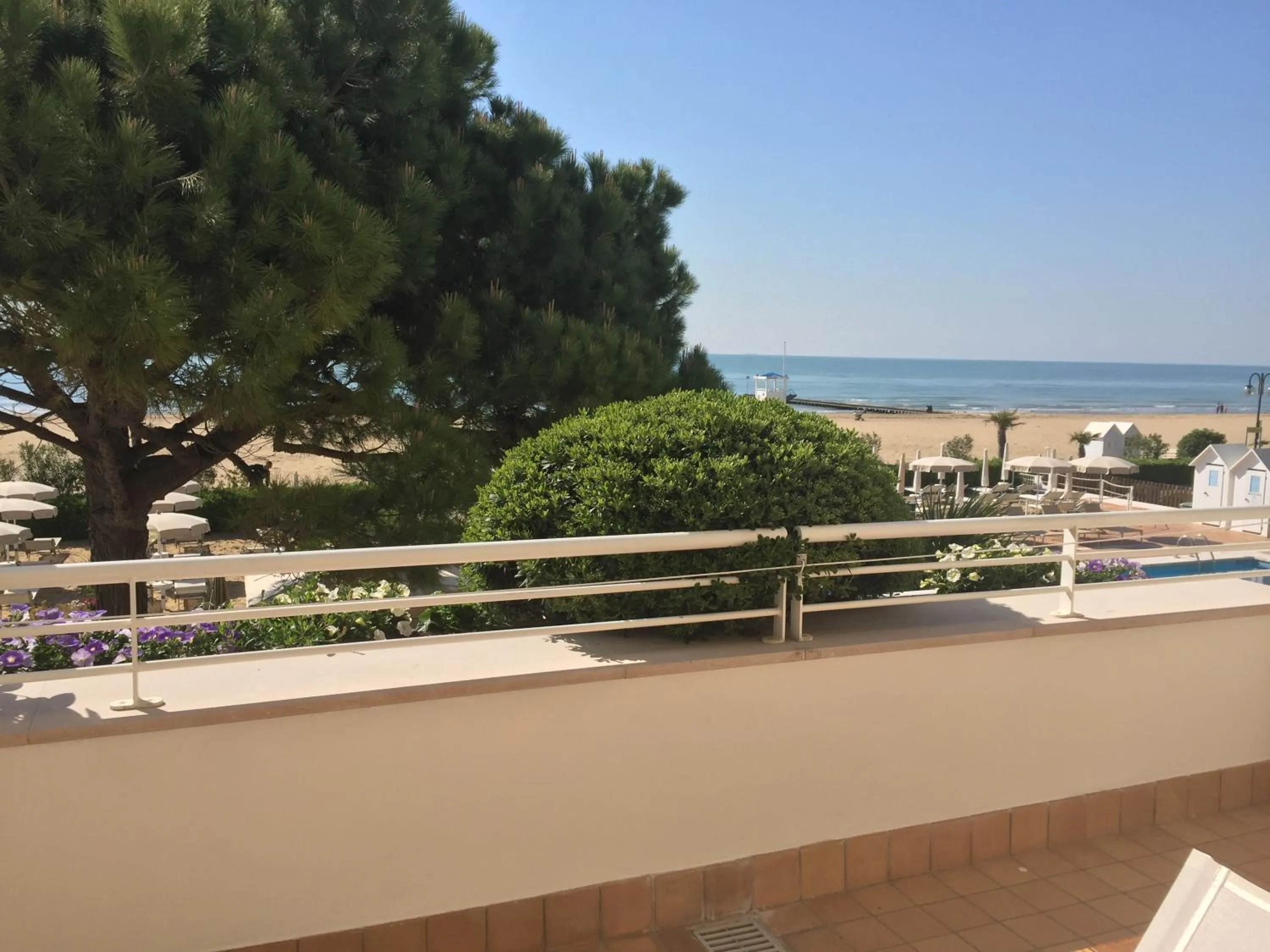 Balcony/Terrace in Hotel Aurora