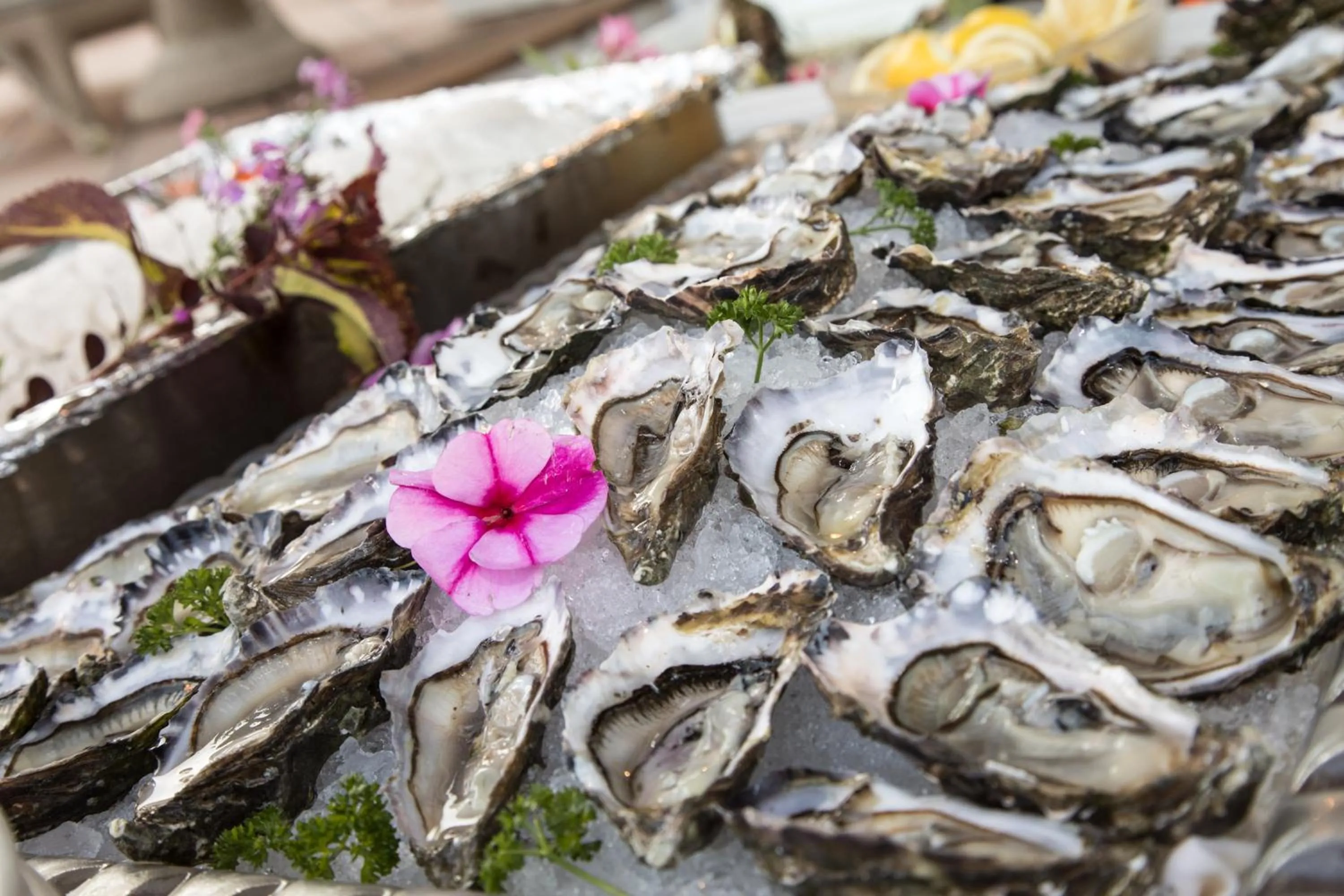 Restaurant/places to eat in Hotel Aurora