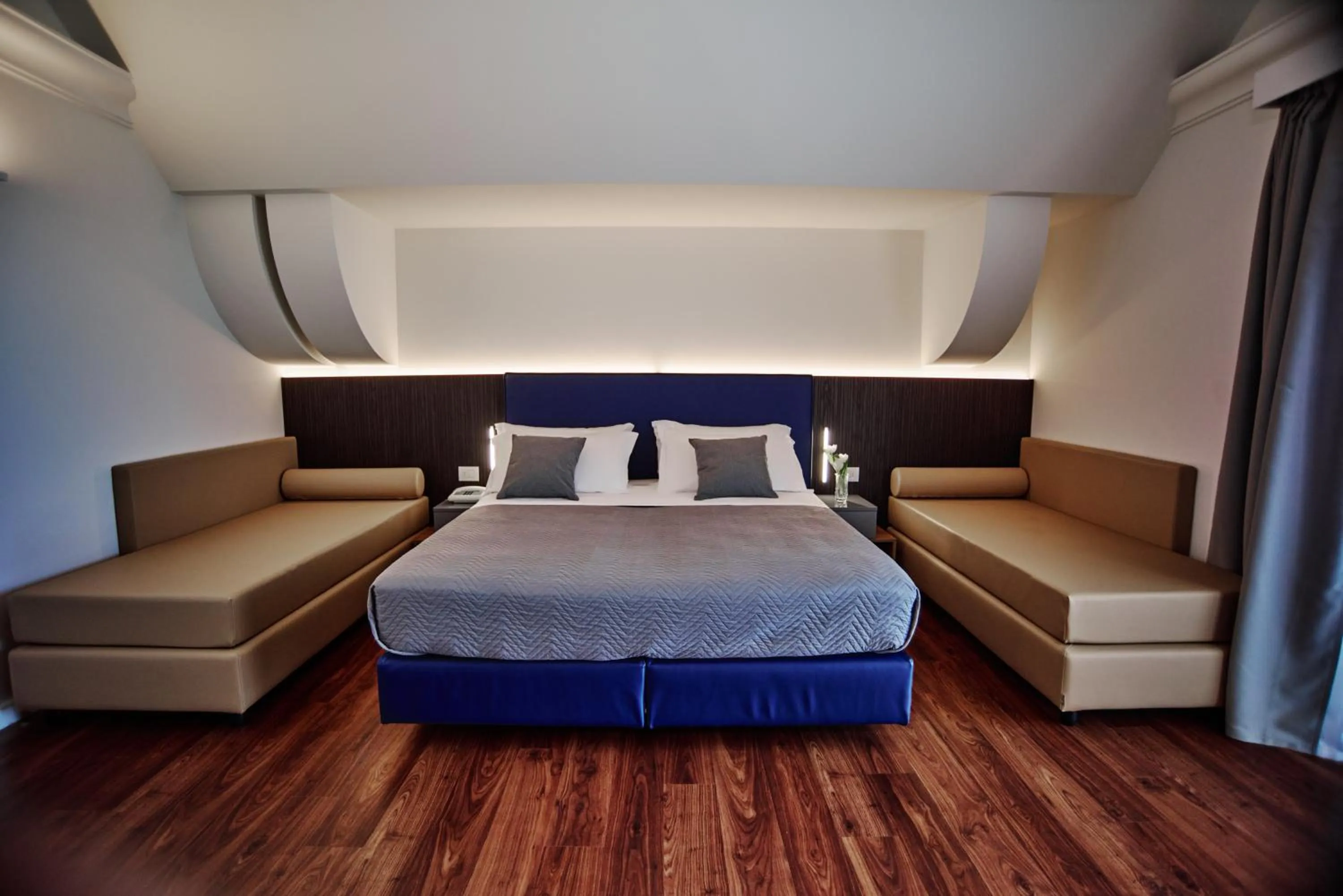 Photo of the whole room in Hotel Negresco