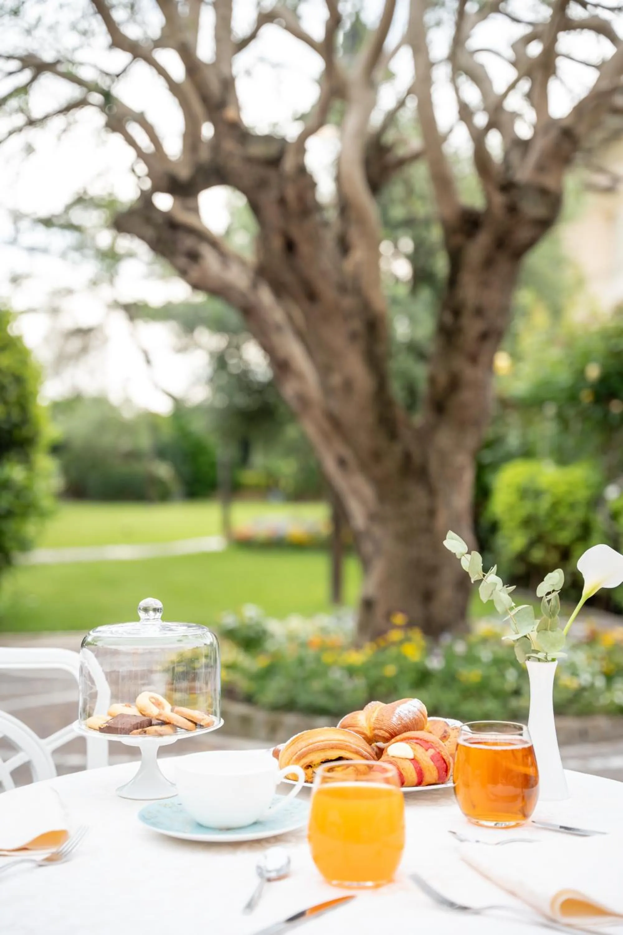 Breakfast in Hotel Aurelia