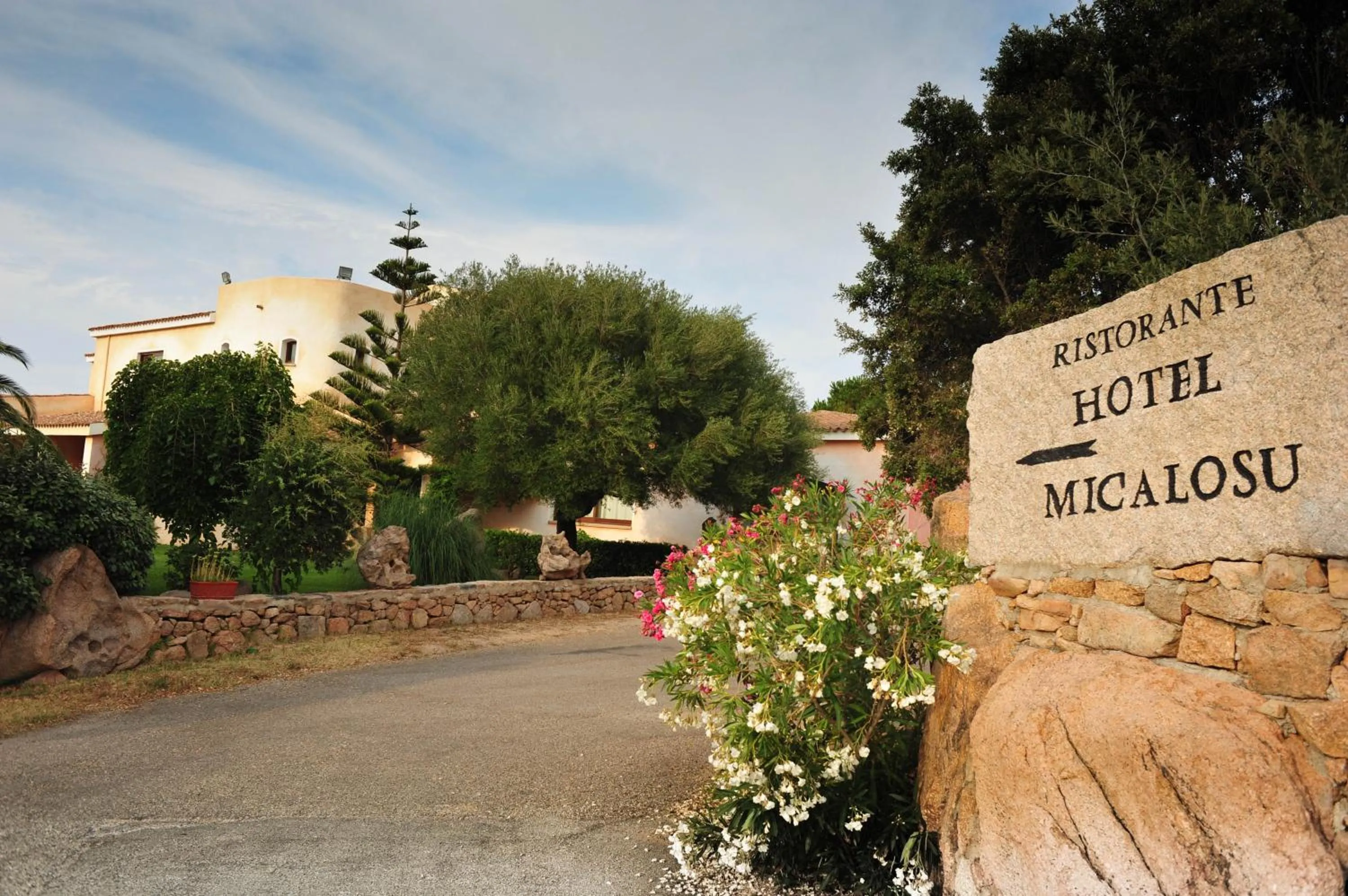 Property building in Hotel Micalosu