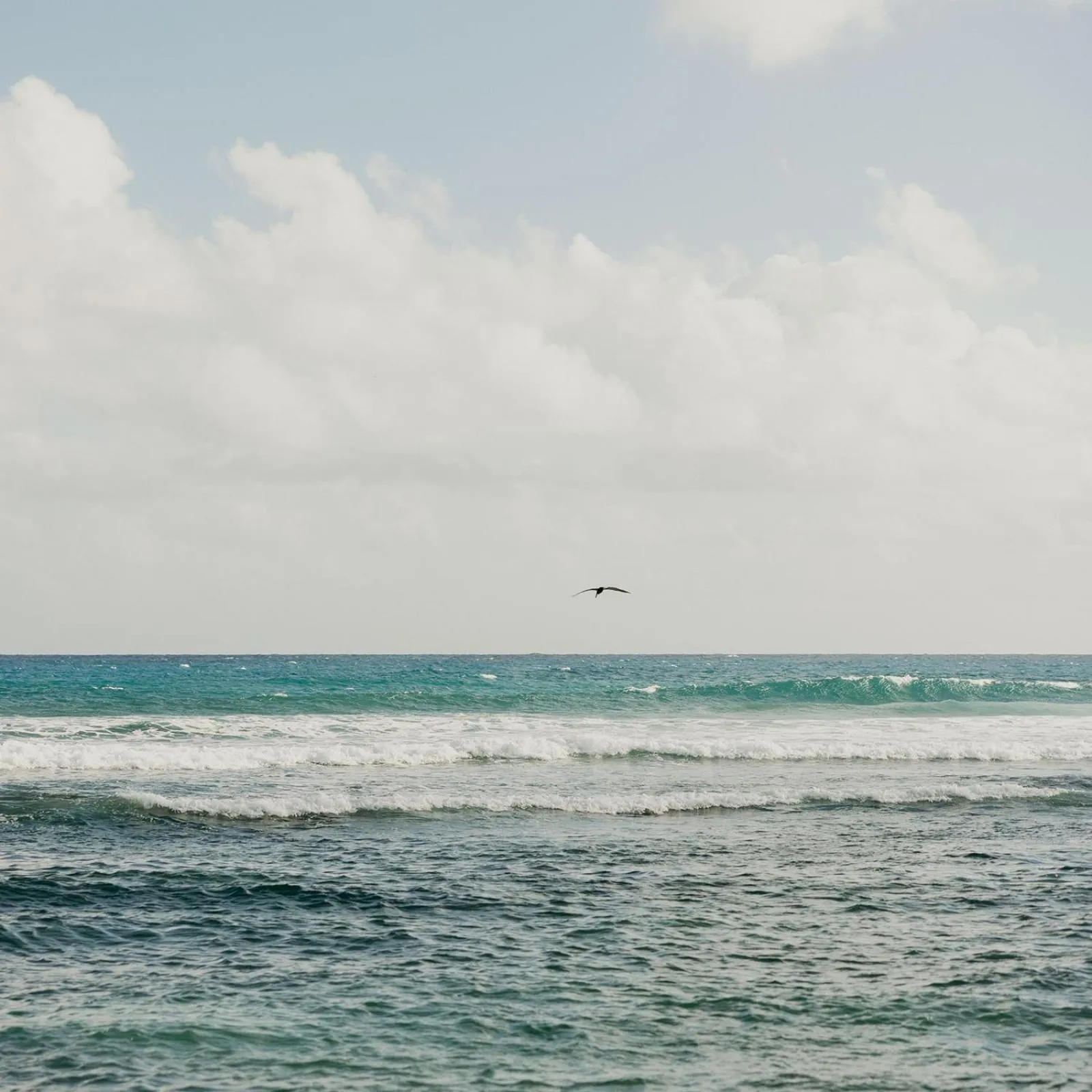 Natural landscape in Grapetree Bay Hotel and Villas