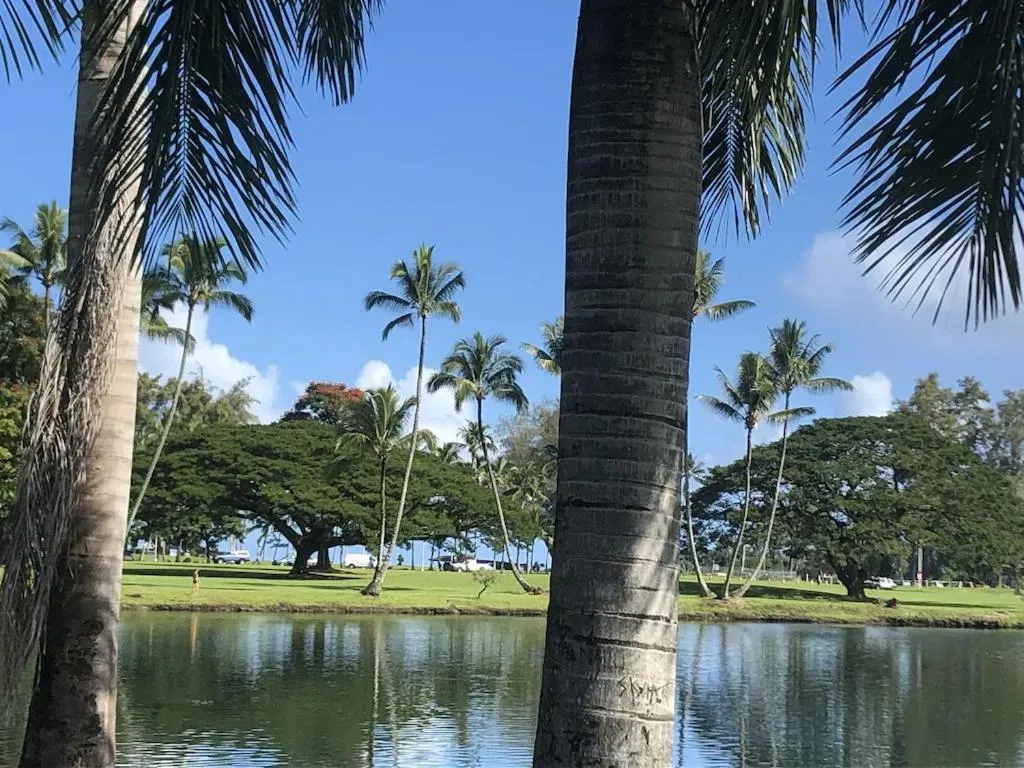 Stunning Views Best location in Hilo 2BR modern Condo