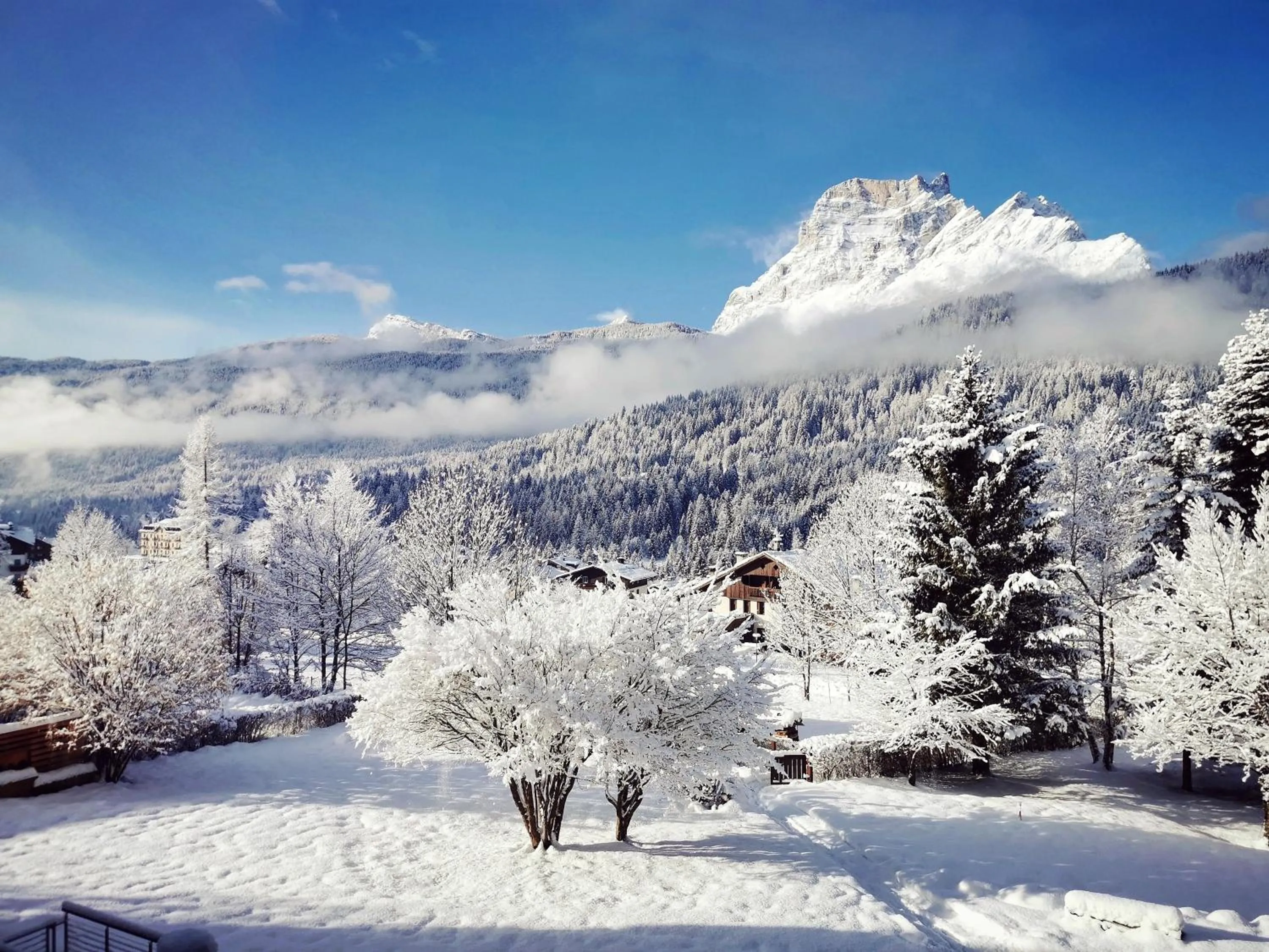 Garden in Parkhotel Ladinia