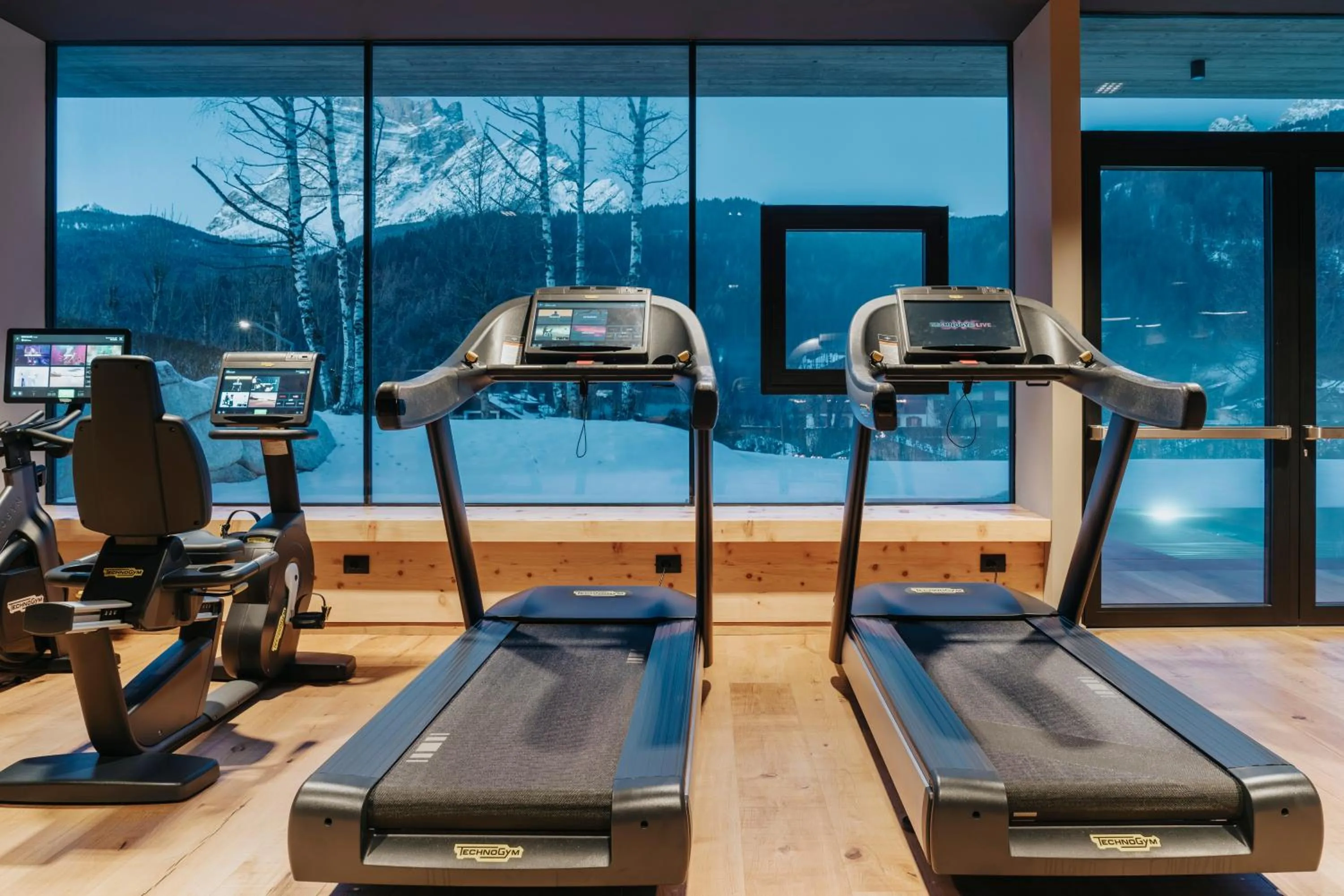 Fitness centre/facilities in Parkhotel Ladinia