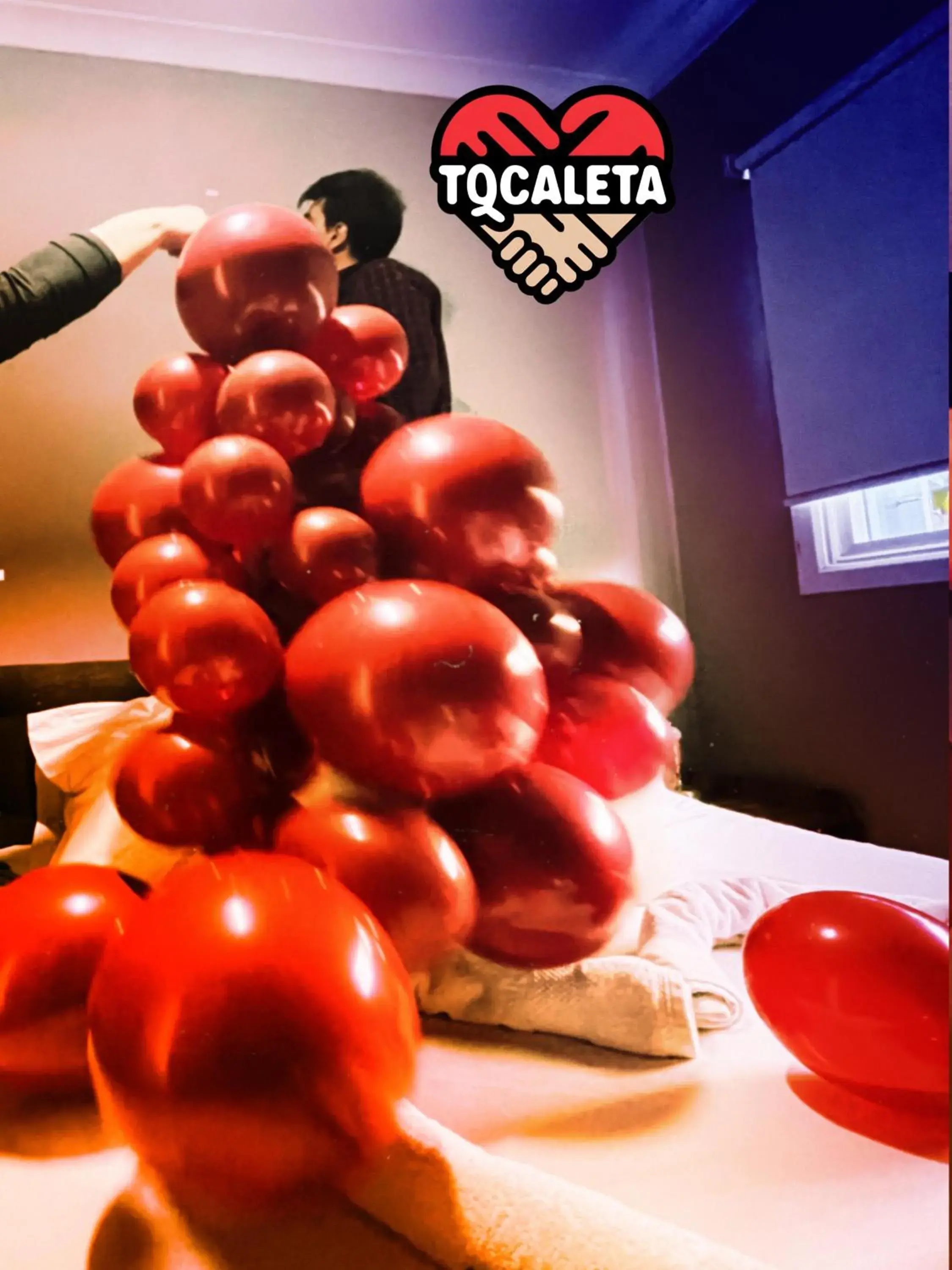 TQCaleta Providencia Barrio Italia TQCaleta Providencia Barrio Italia