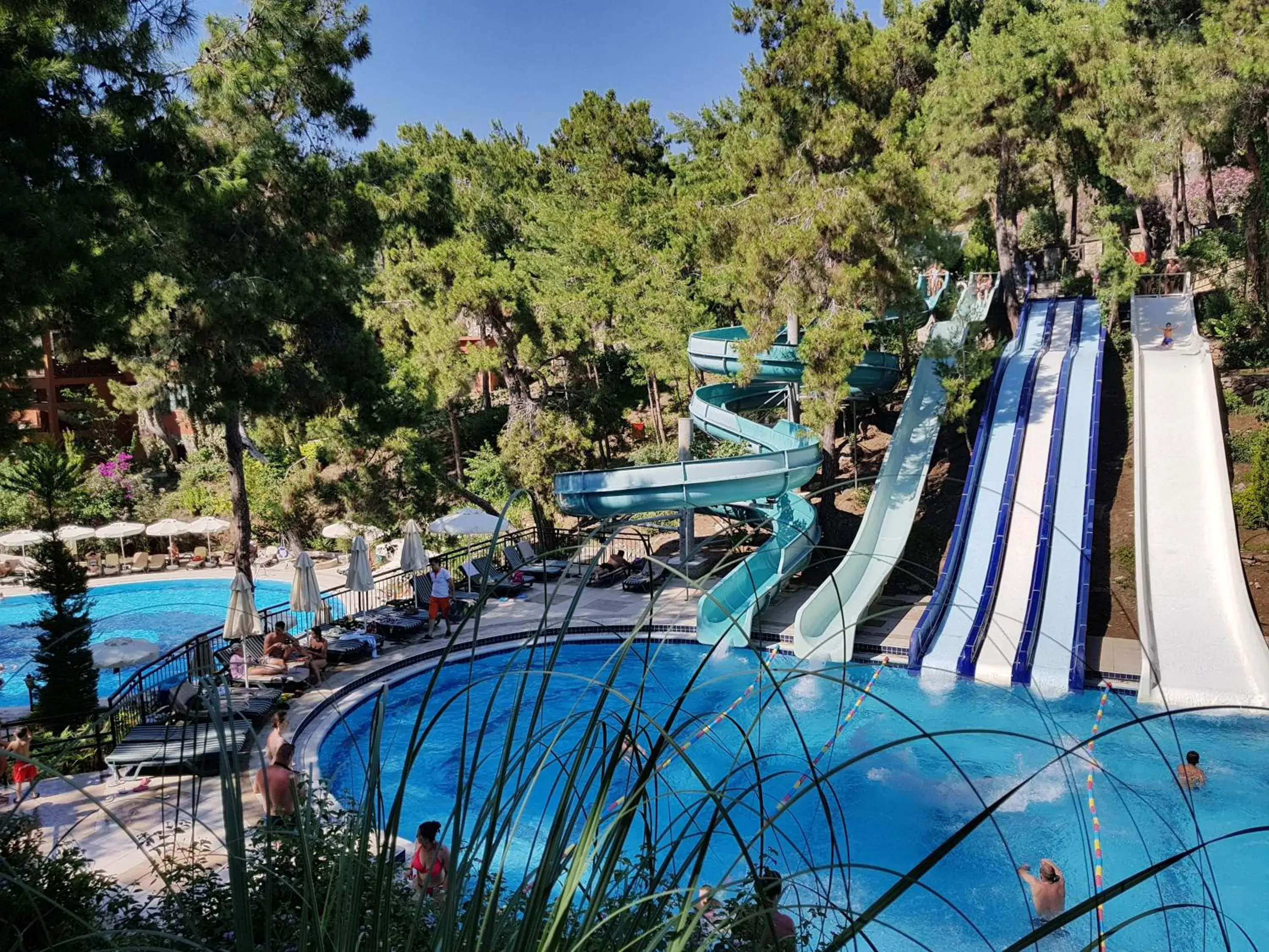 Swimming pool in Utopia World Swimming pool in Utopia World