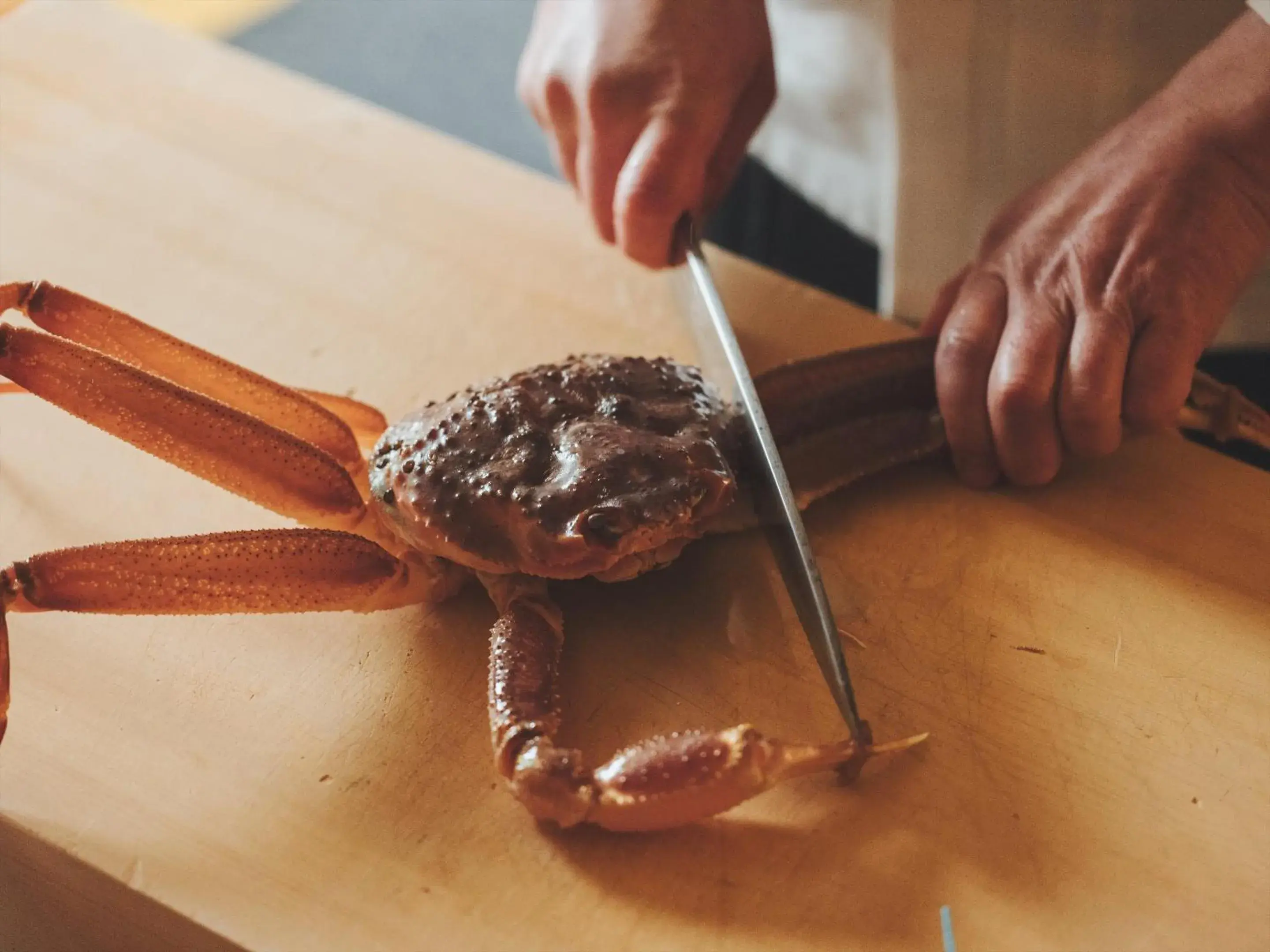 Restaurant/places to eat in SOKI Kanazawa Restaurant/places to eat in SOKI Kanazawa