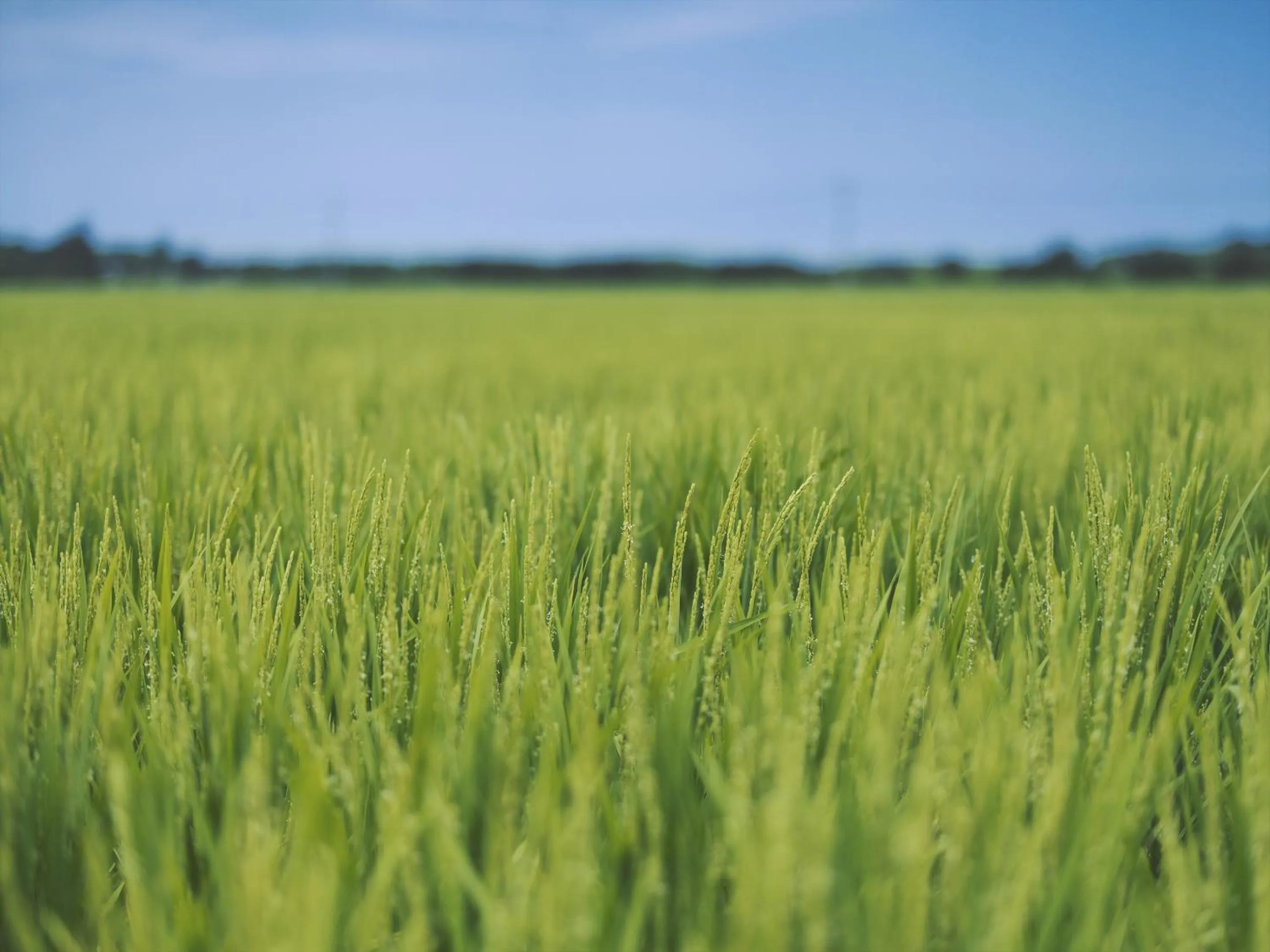 Natural landscape in SOKI Kanazawa
