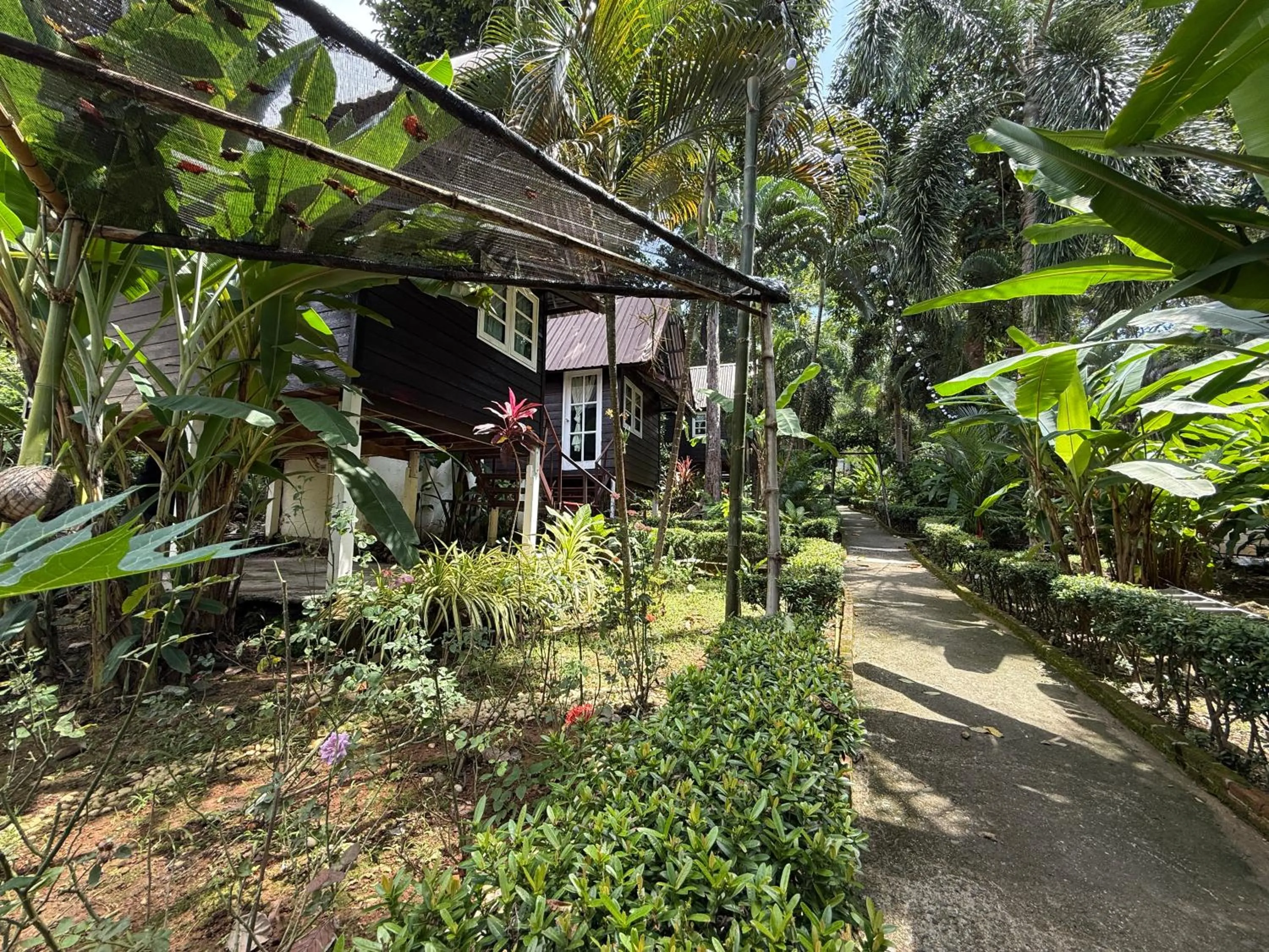 Garden in Vanara Bungalows