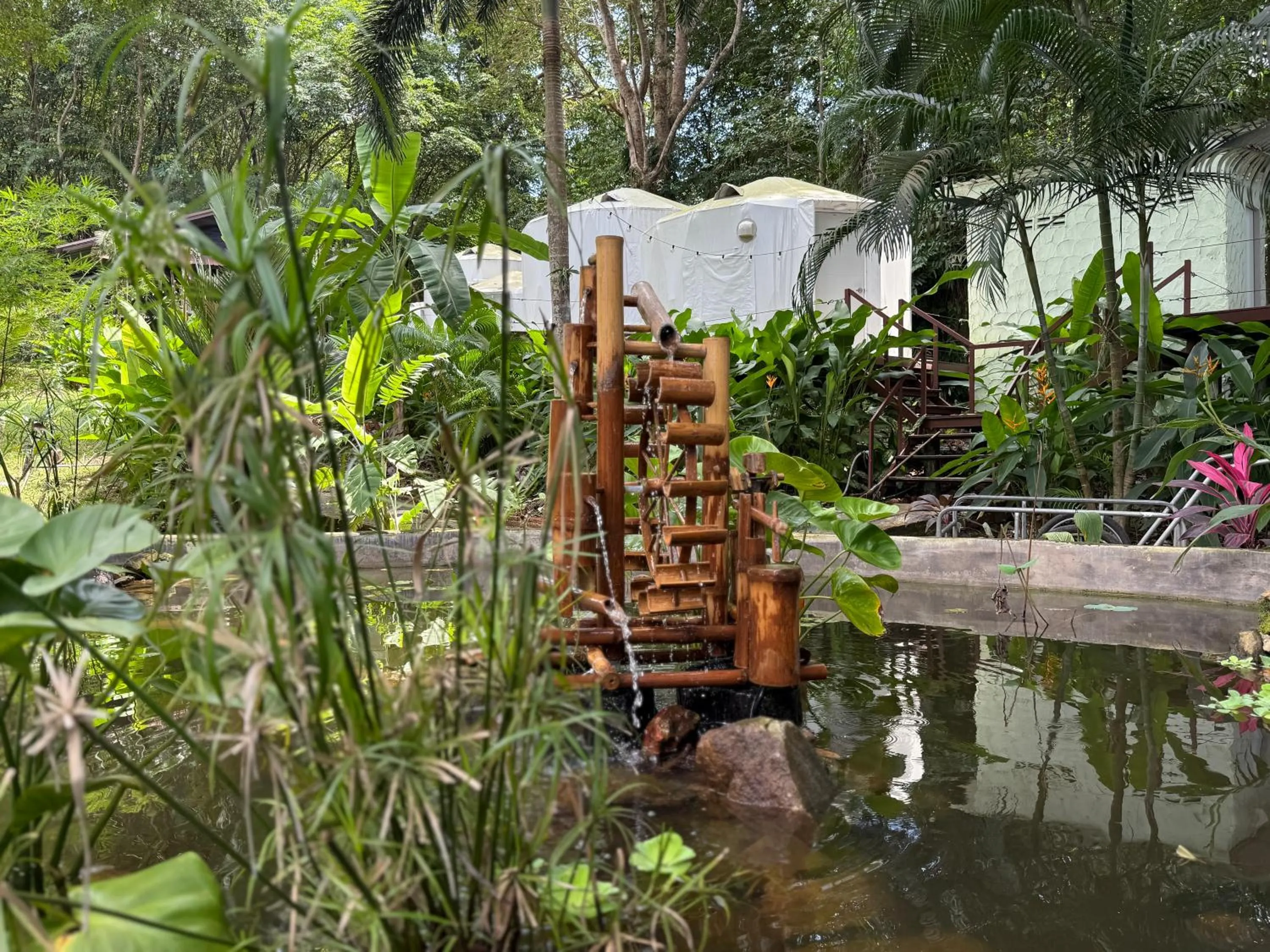 Garden in Vanara Bungalows