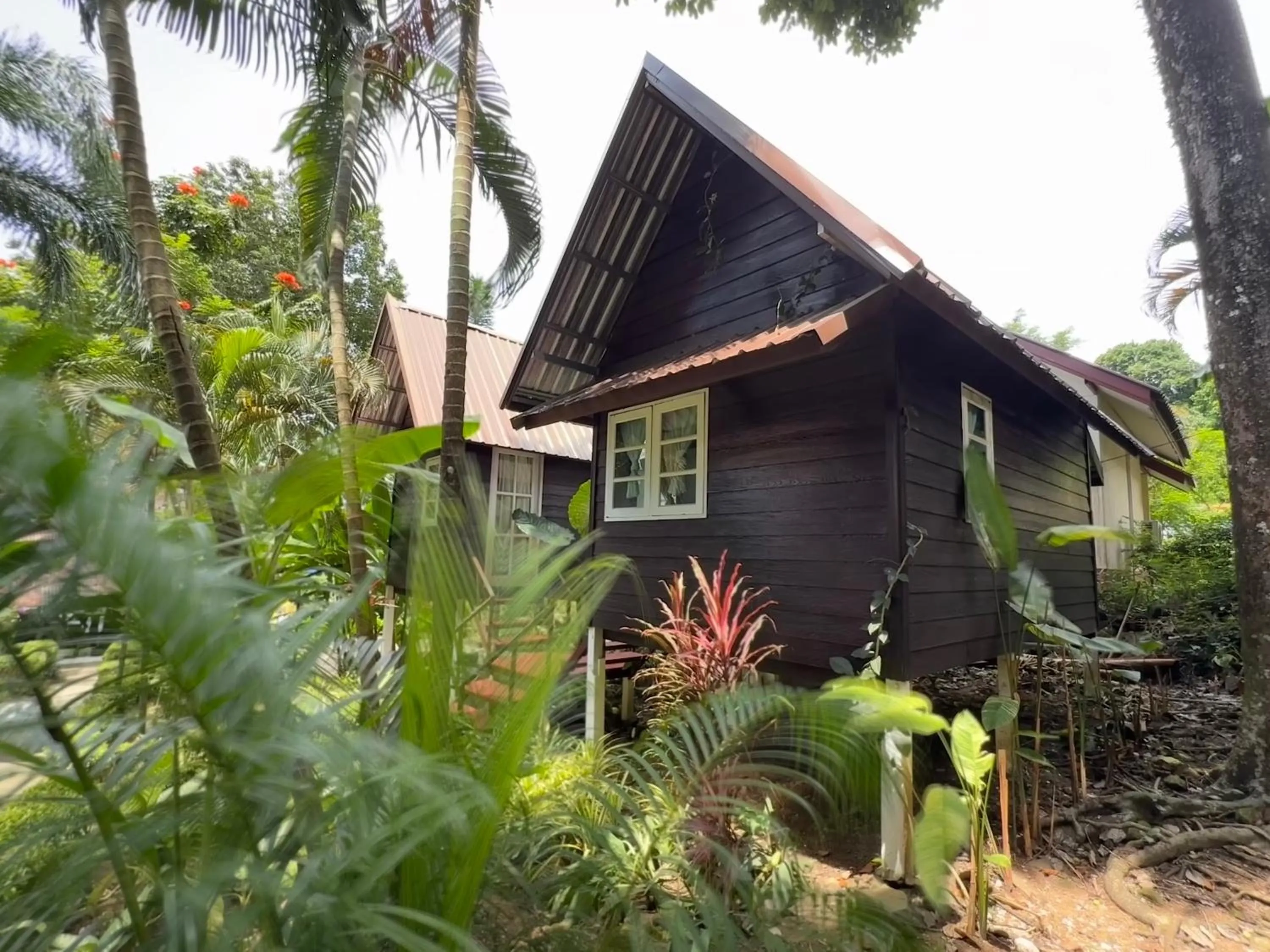 Garden in Vanara Bungalows