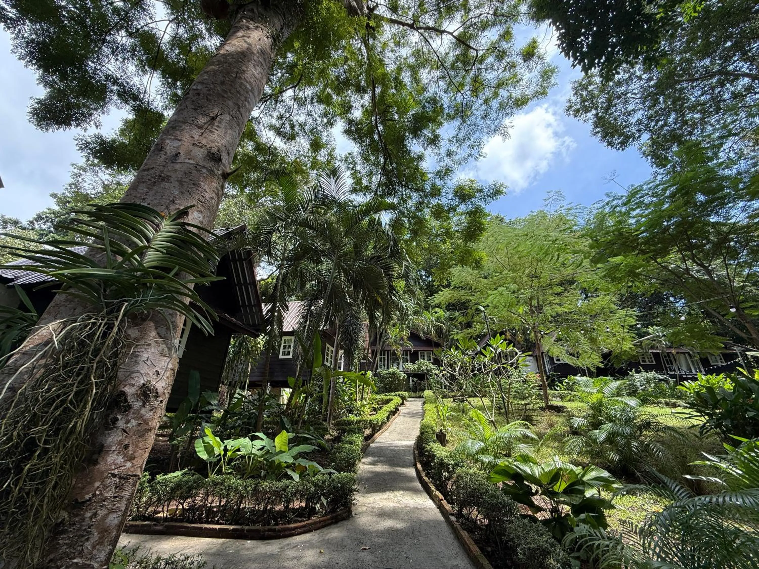 Garden in Vanara Bungalows