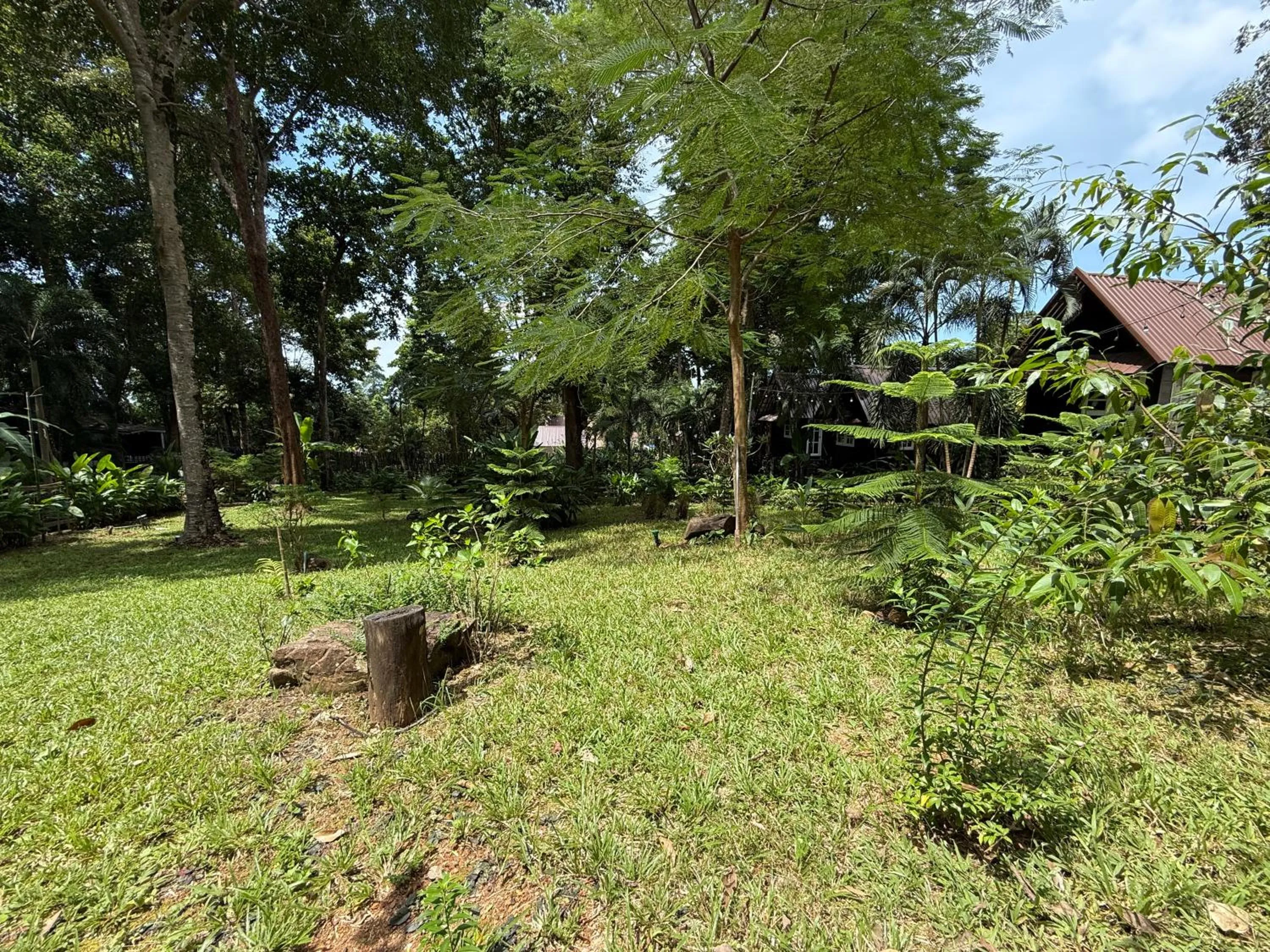 Garden in Vanara Bungalows