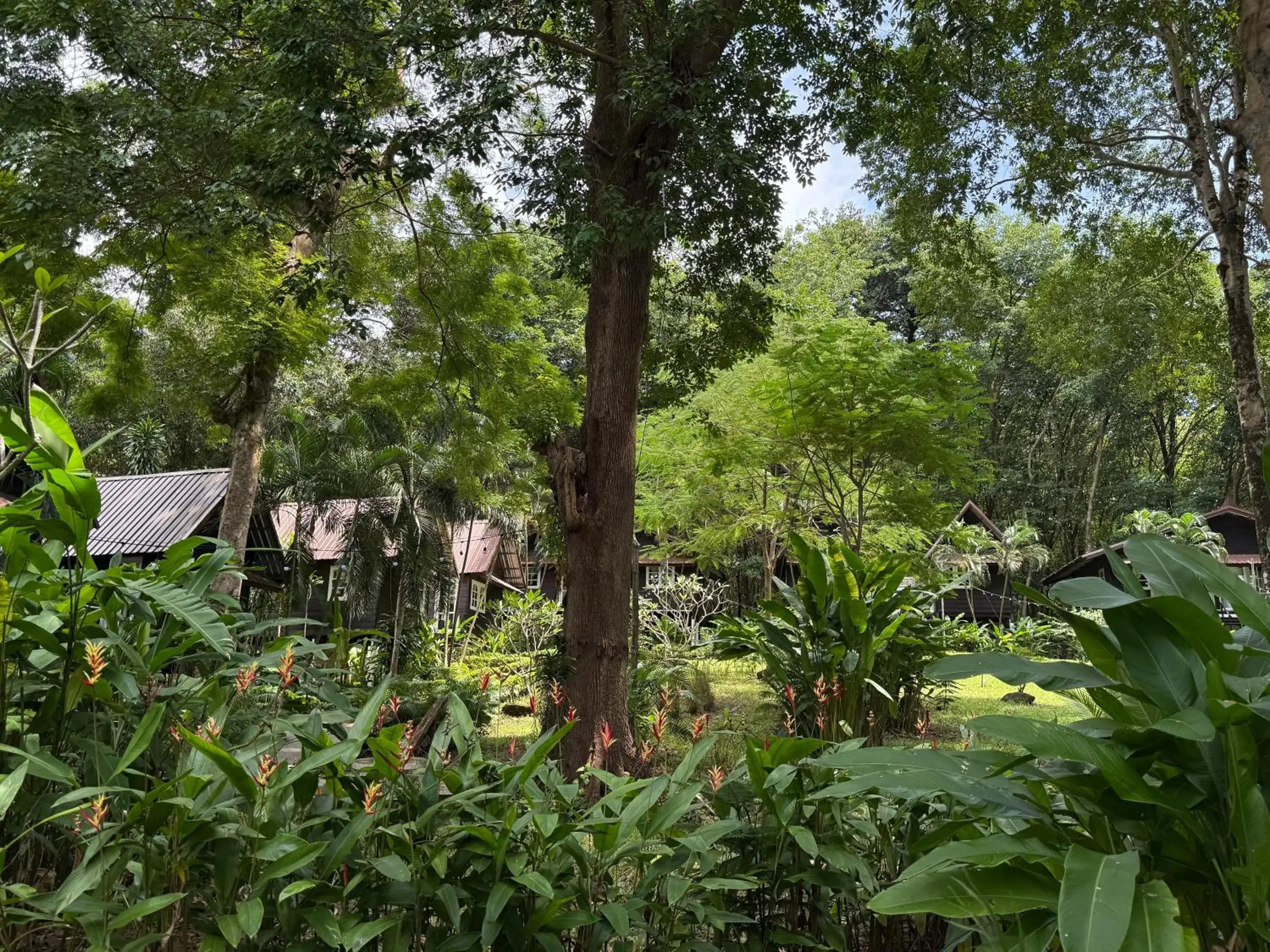 Garden view in Vanara Bungalows Garden view in Vanara Bungalows