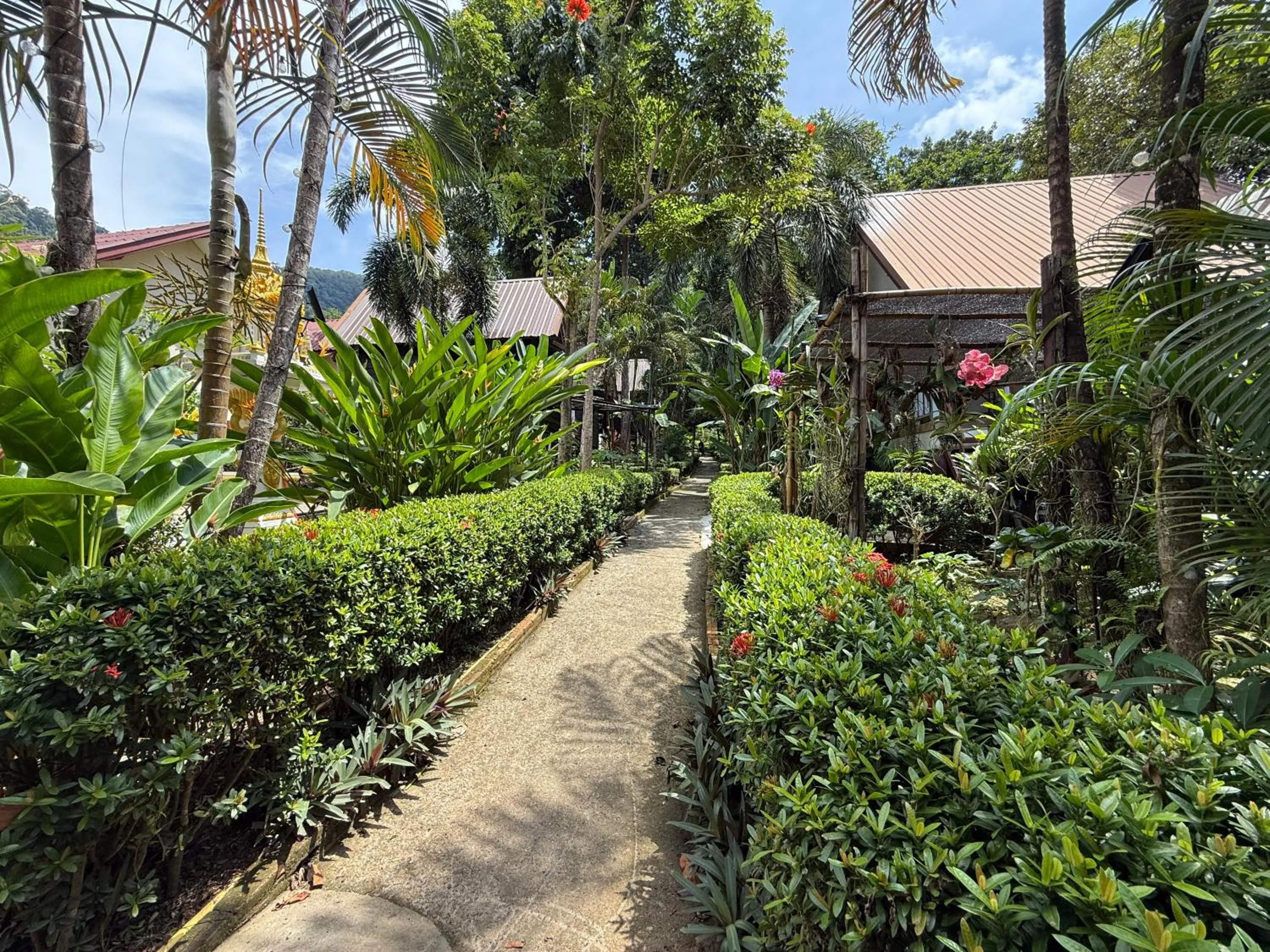 Garden in Vanara Bungalows
