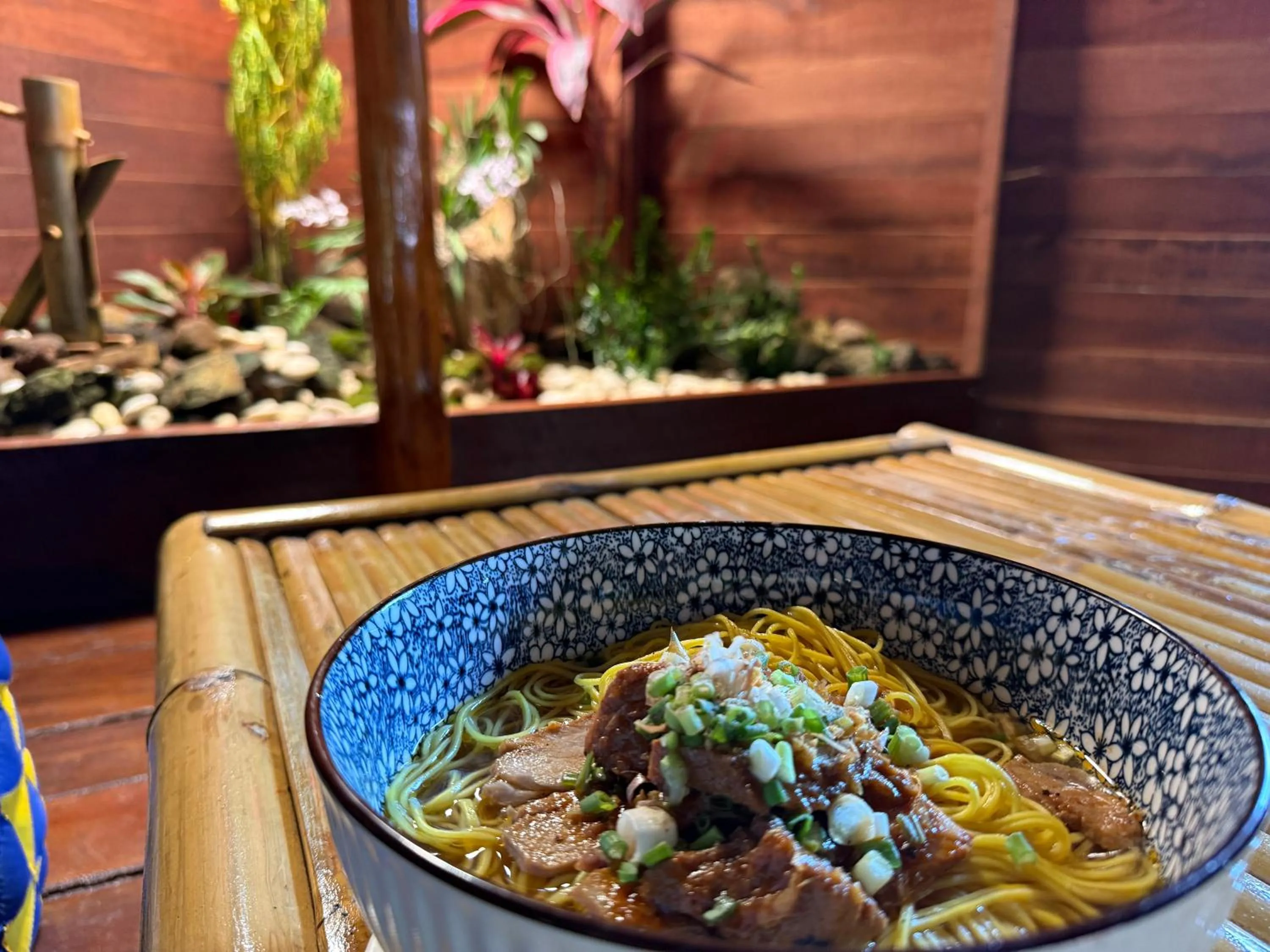 Restaurant/places to eat in Vanara Bungalows