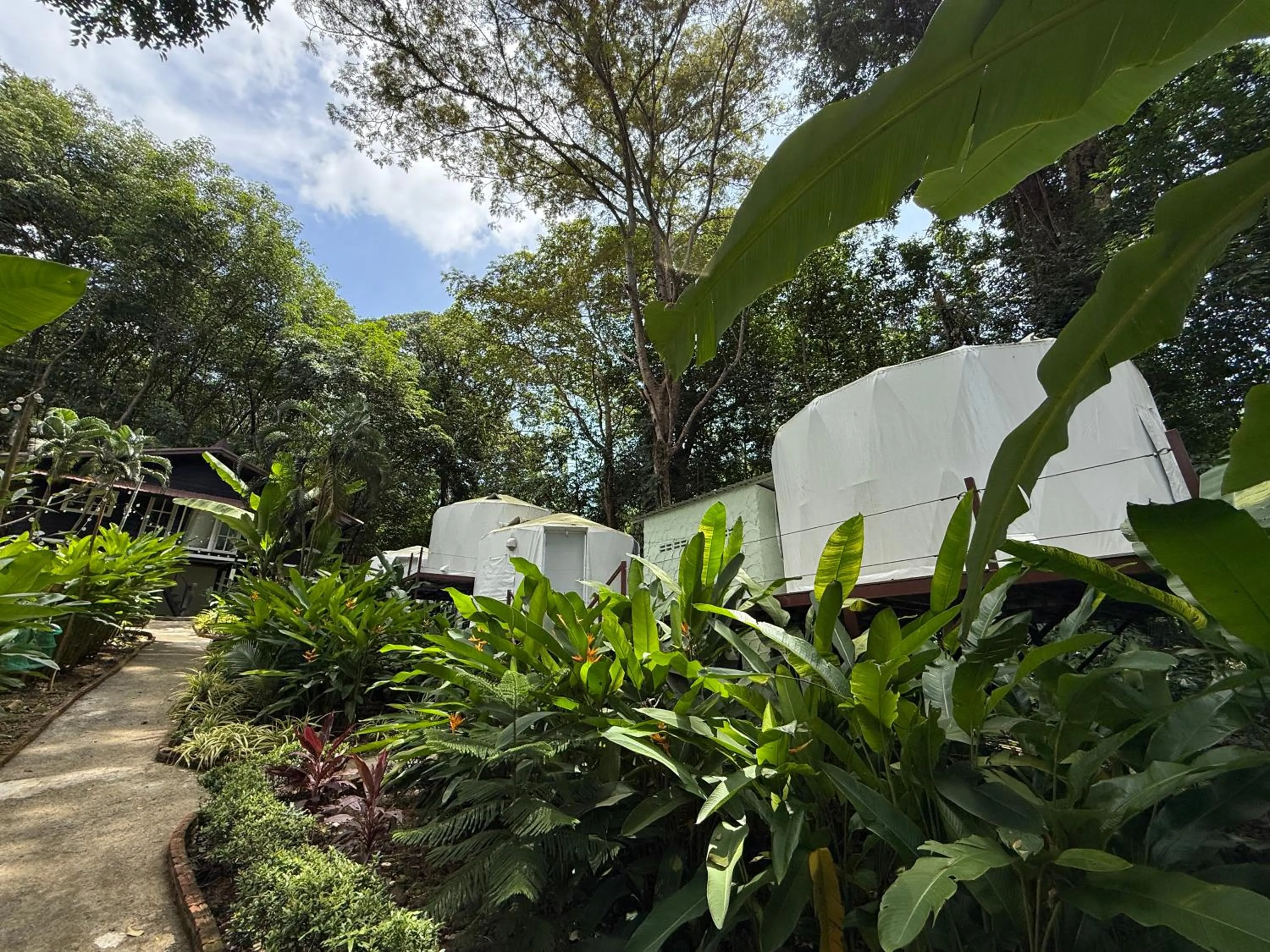 Garden in Vanara Bungalows