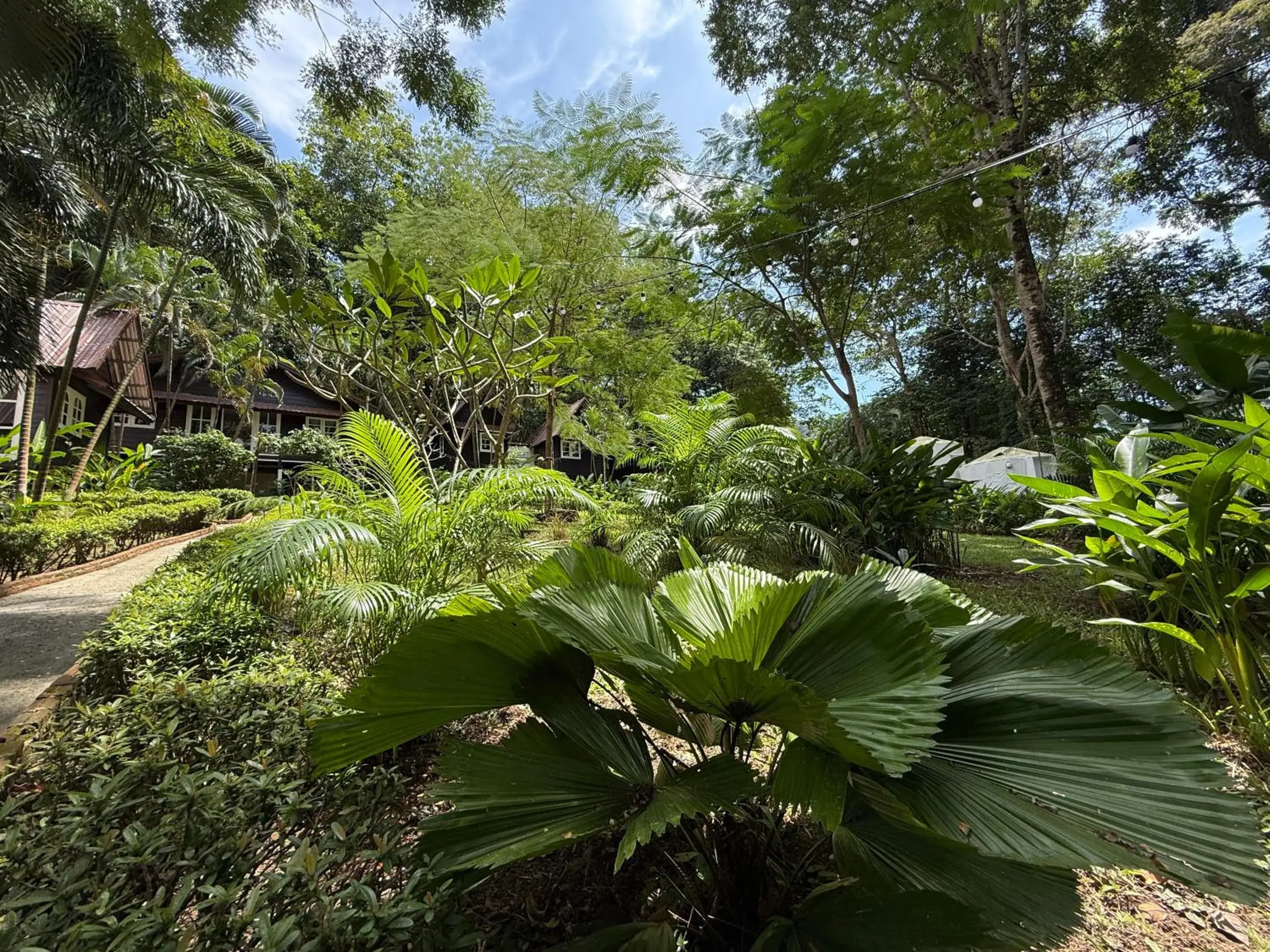 Garden view in Vanara Bungalows Garden view in Vanara Bungalows