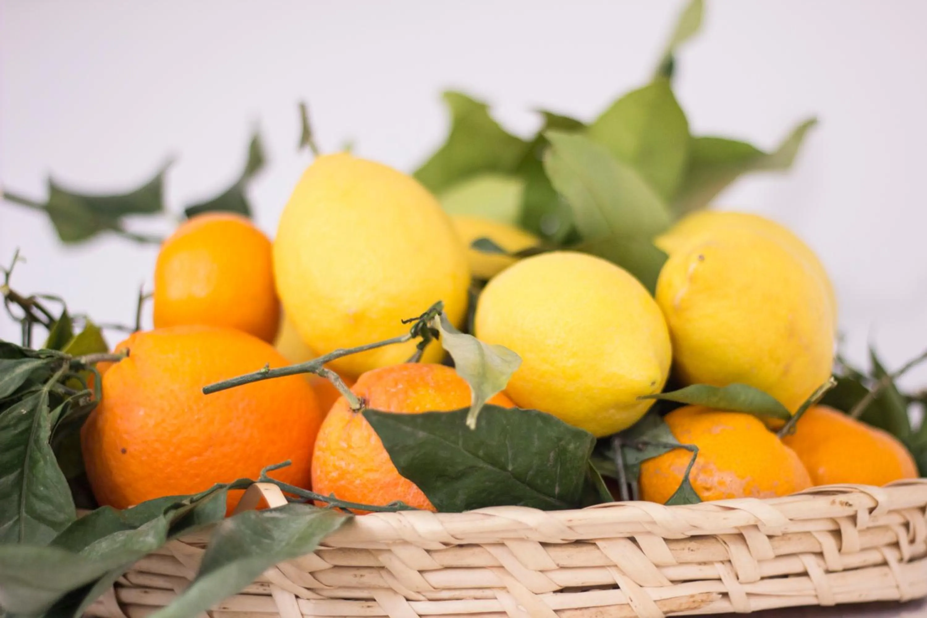 Decorative detail in Casa Sorrentina