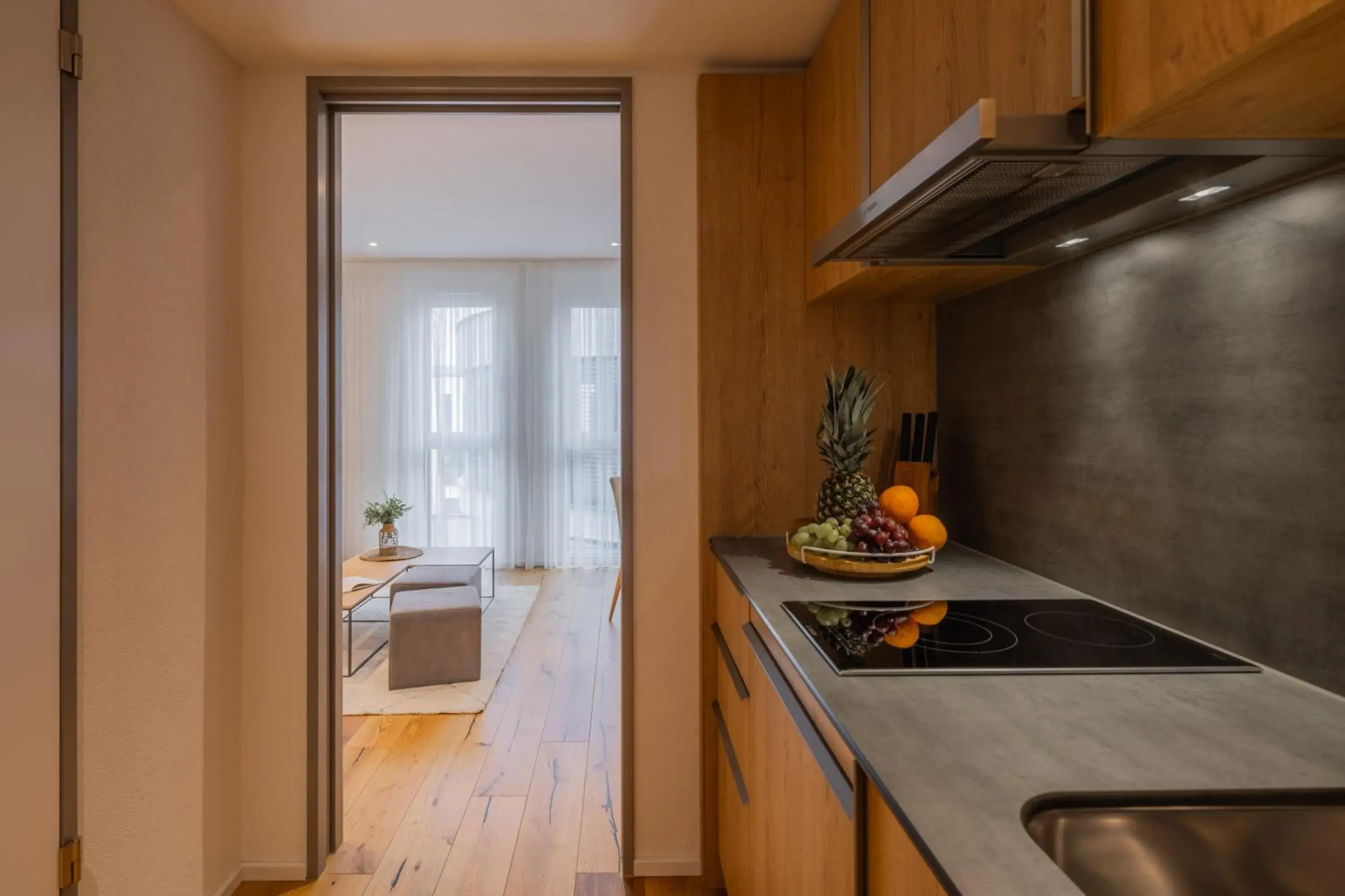 One-Bedroom Standard Apartment in LMS - La Maison Suisse - Döttingen One-Bedroom Standard Apartment in LMS - La Maison Suisse - Döttingen